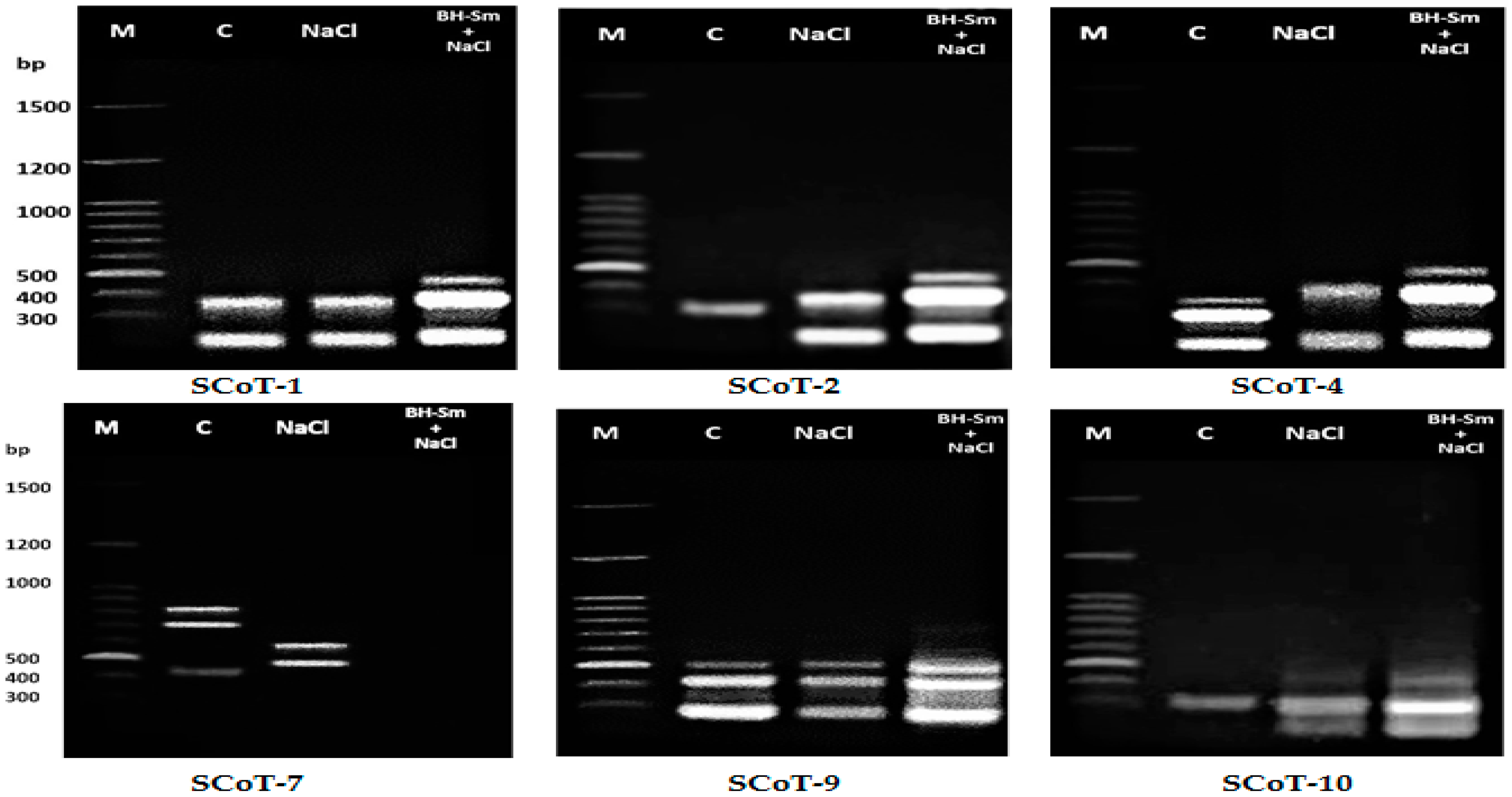 Plants 10 02316 g001
