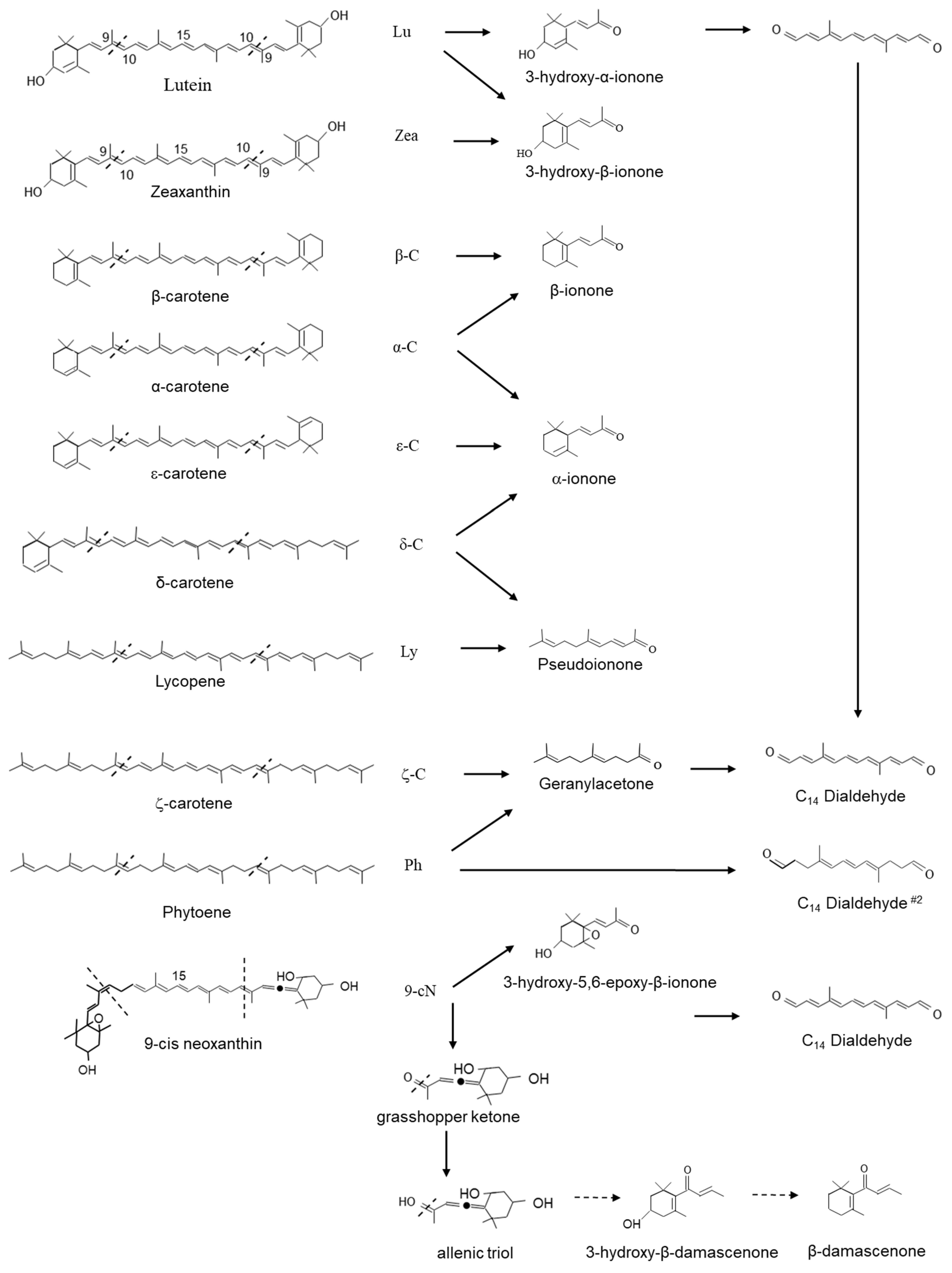 Plants 10 02321 g004 Plants 10 02321 g004