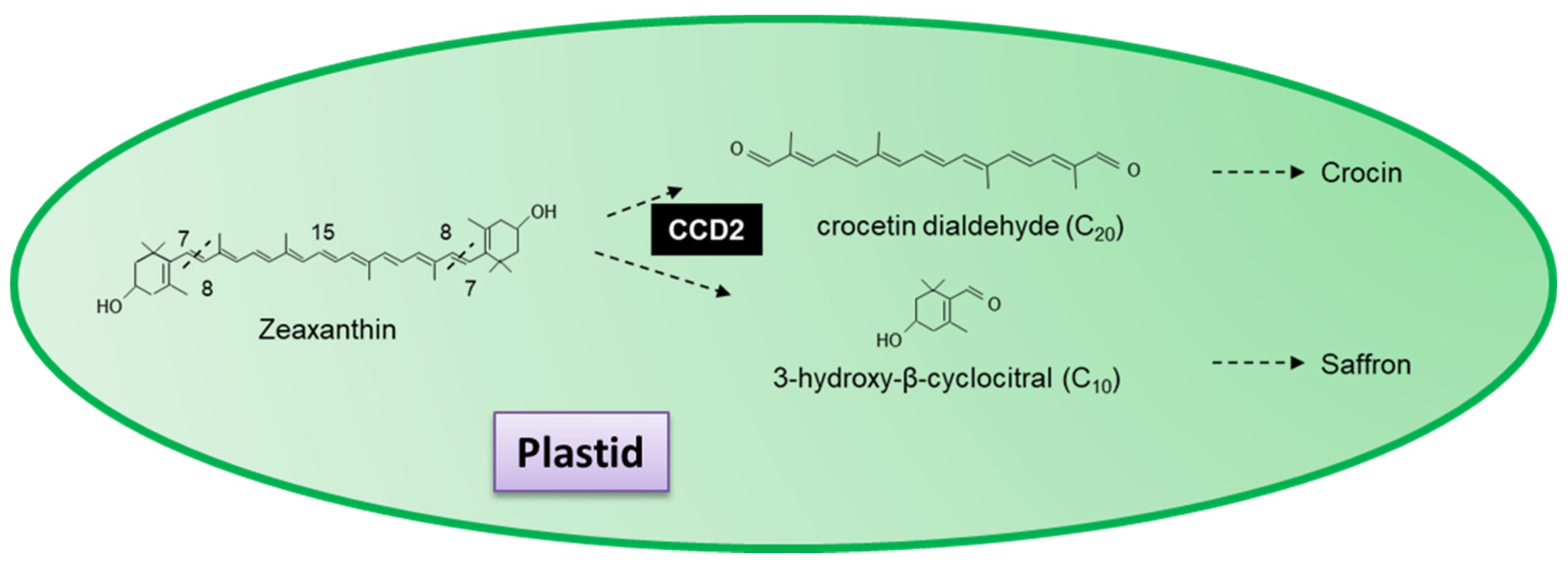 Plants 10 02321 g008 Plants 10 02321 g008