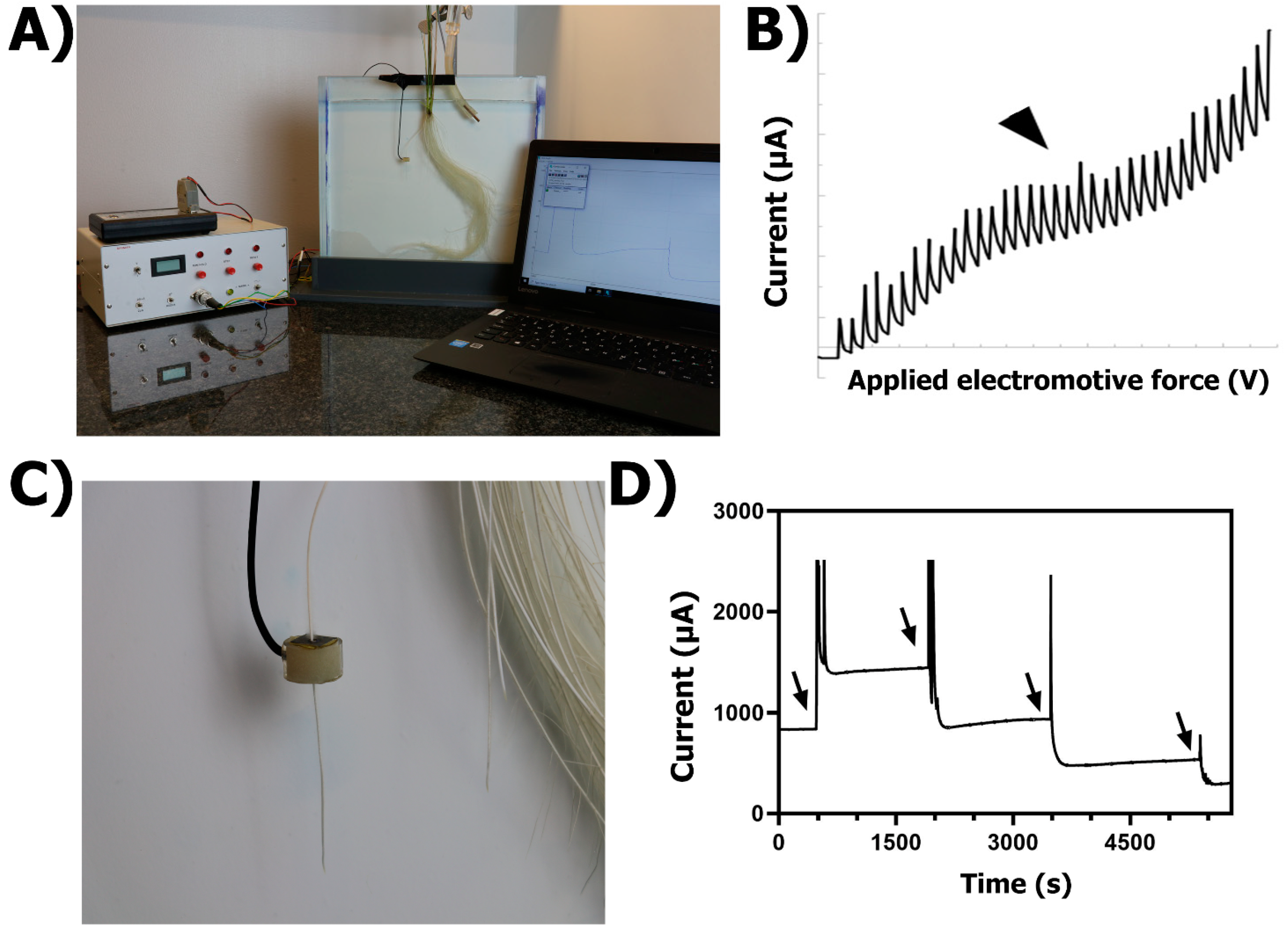 Plants 10 02322 g003 550