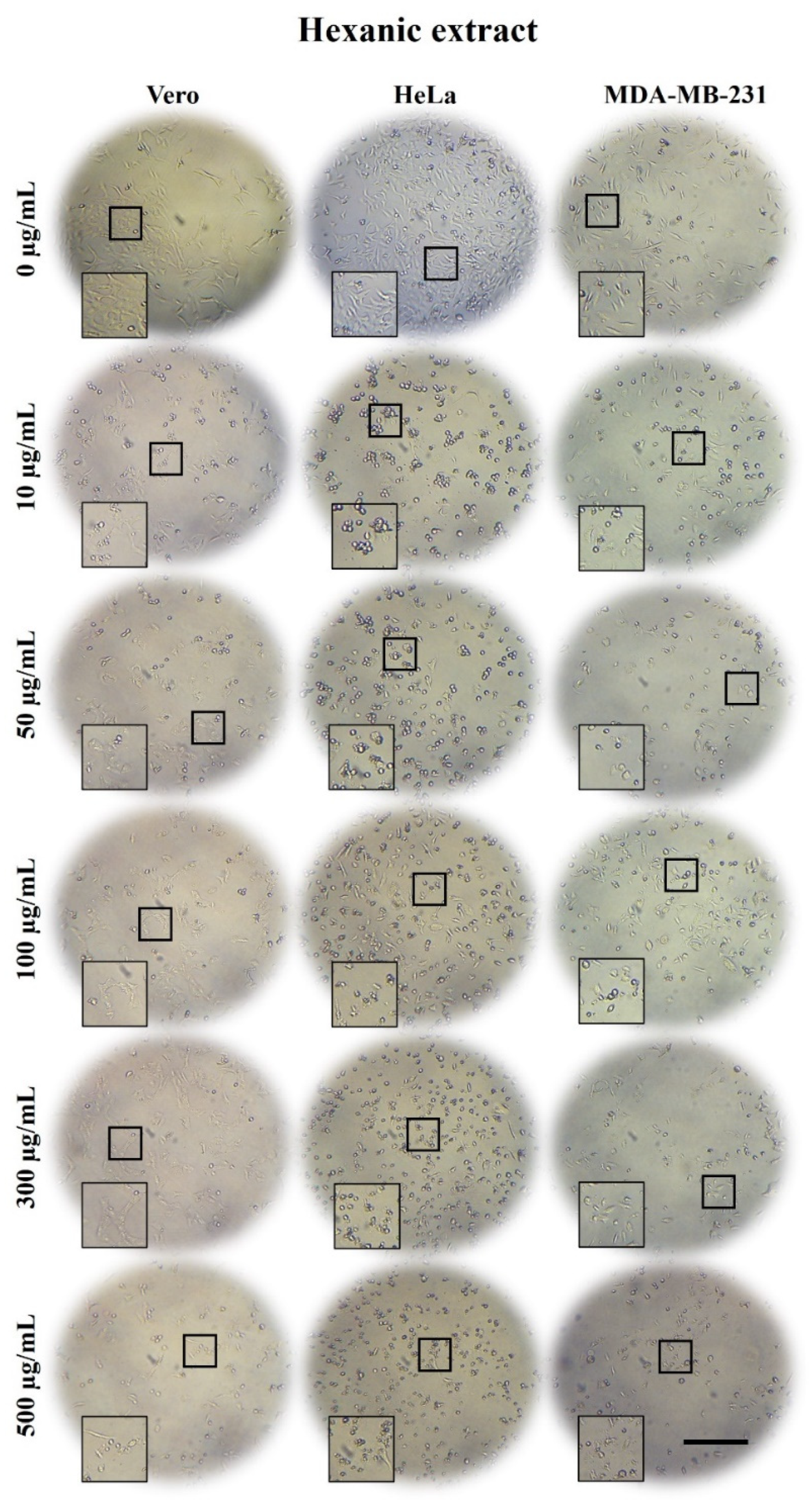 Plants 10 02326 g003