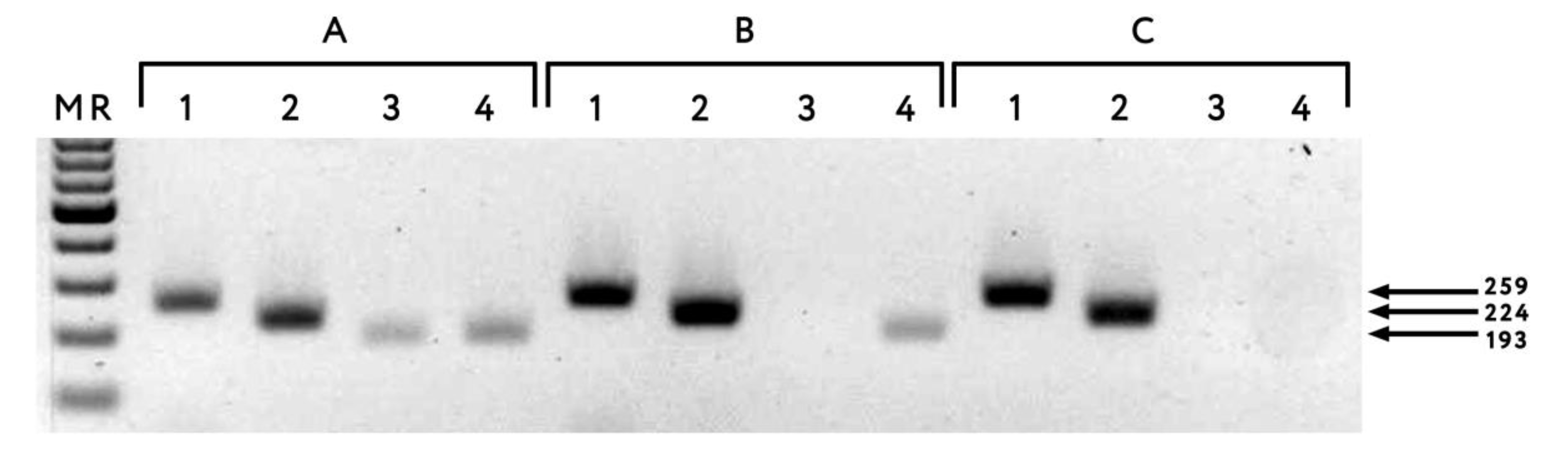 Plants 10 02327 g002