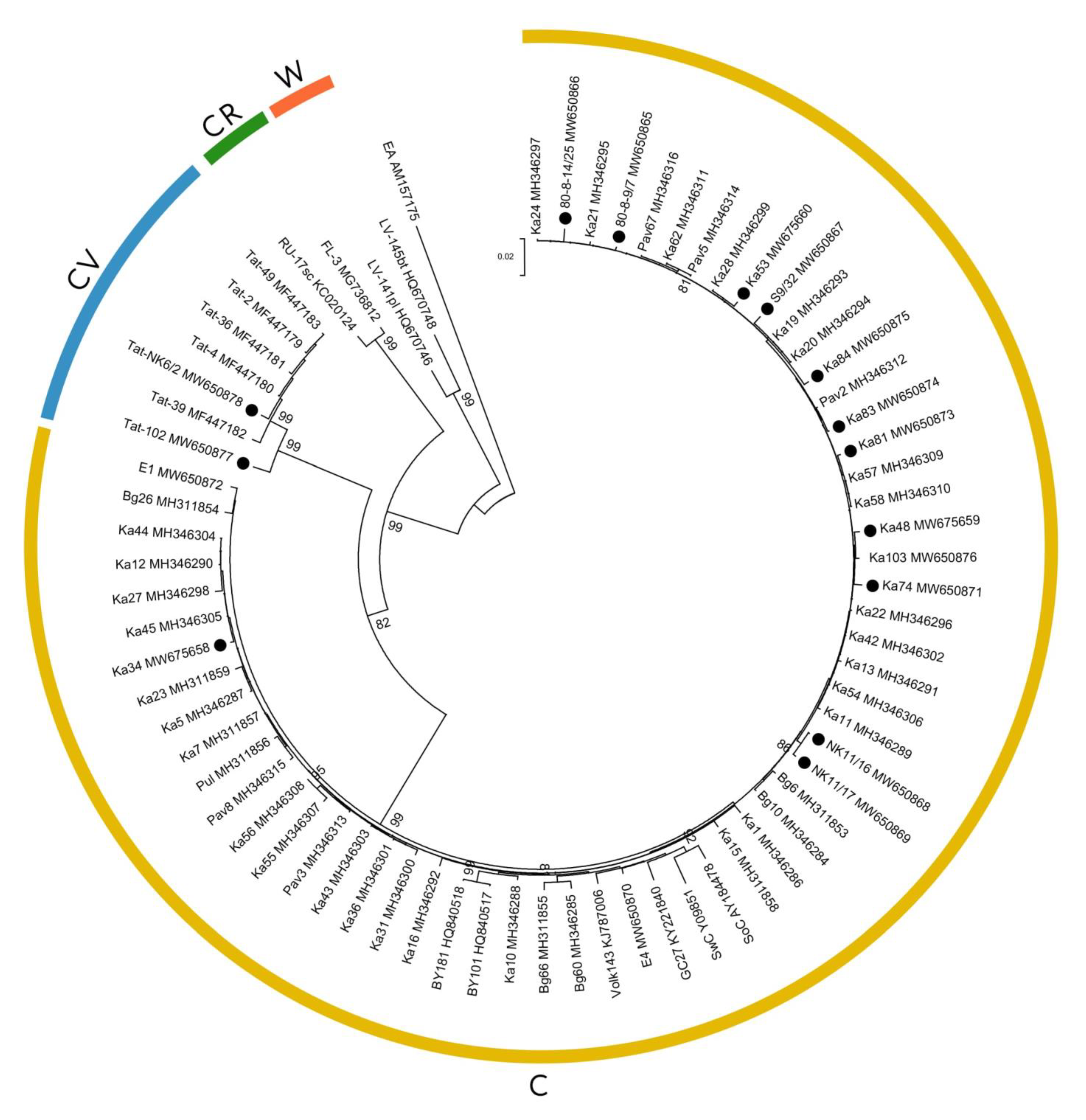 Plants 10 02327 g003
