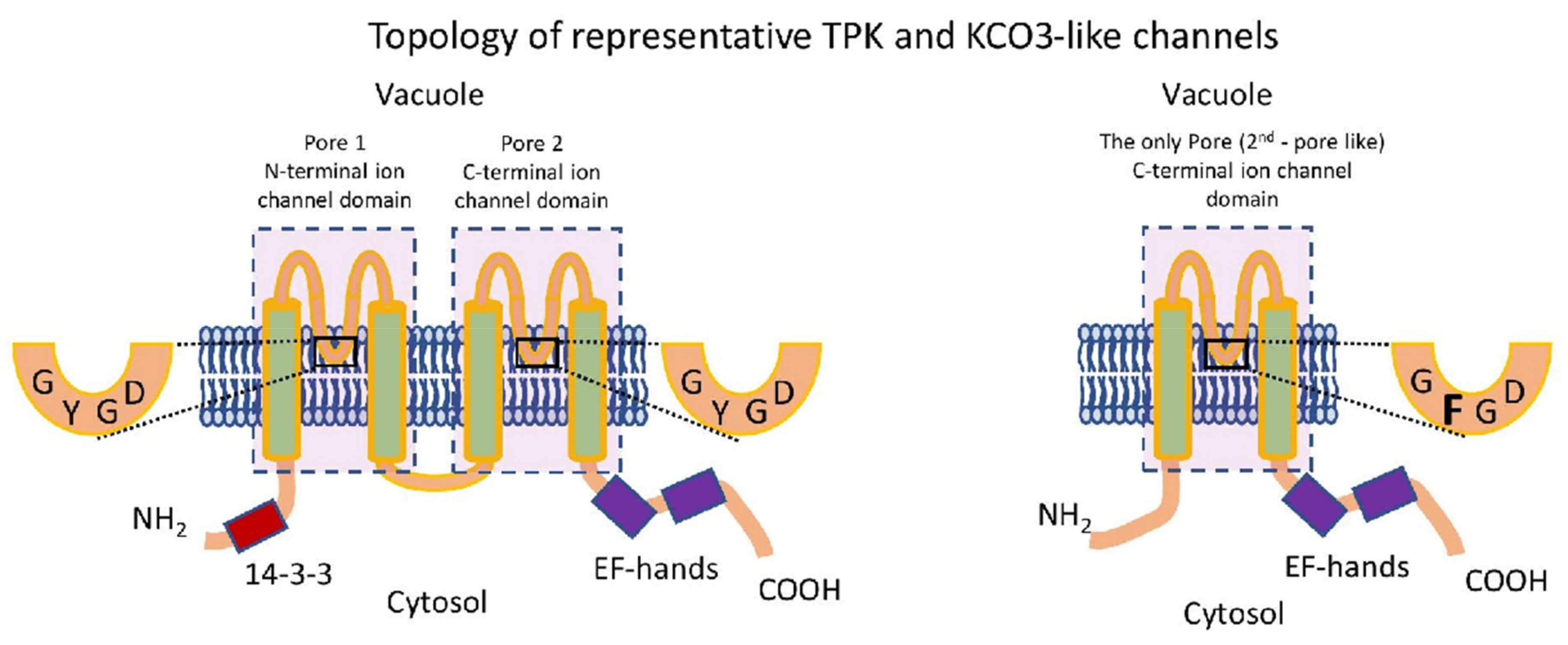 Plants 10 02328 g001