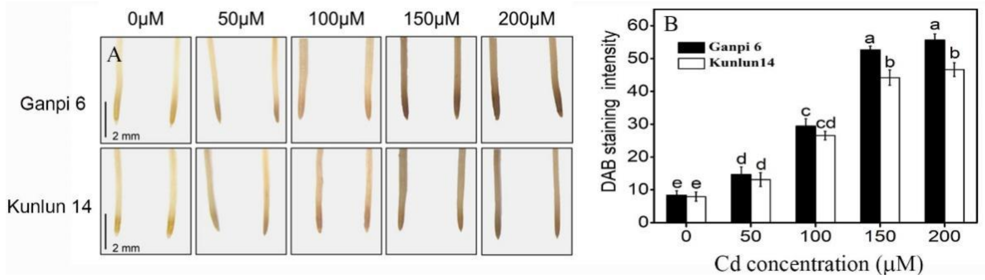 Plants 10 02329 g001