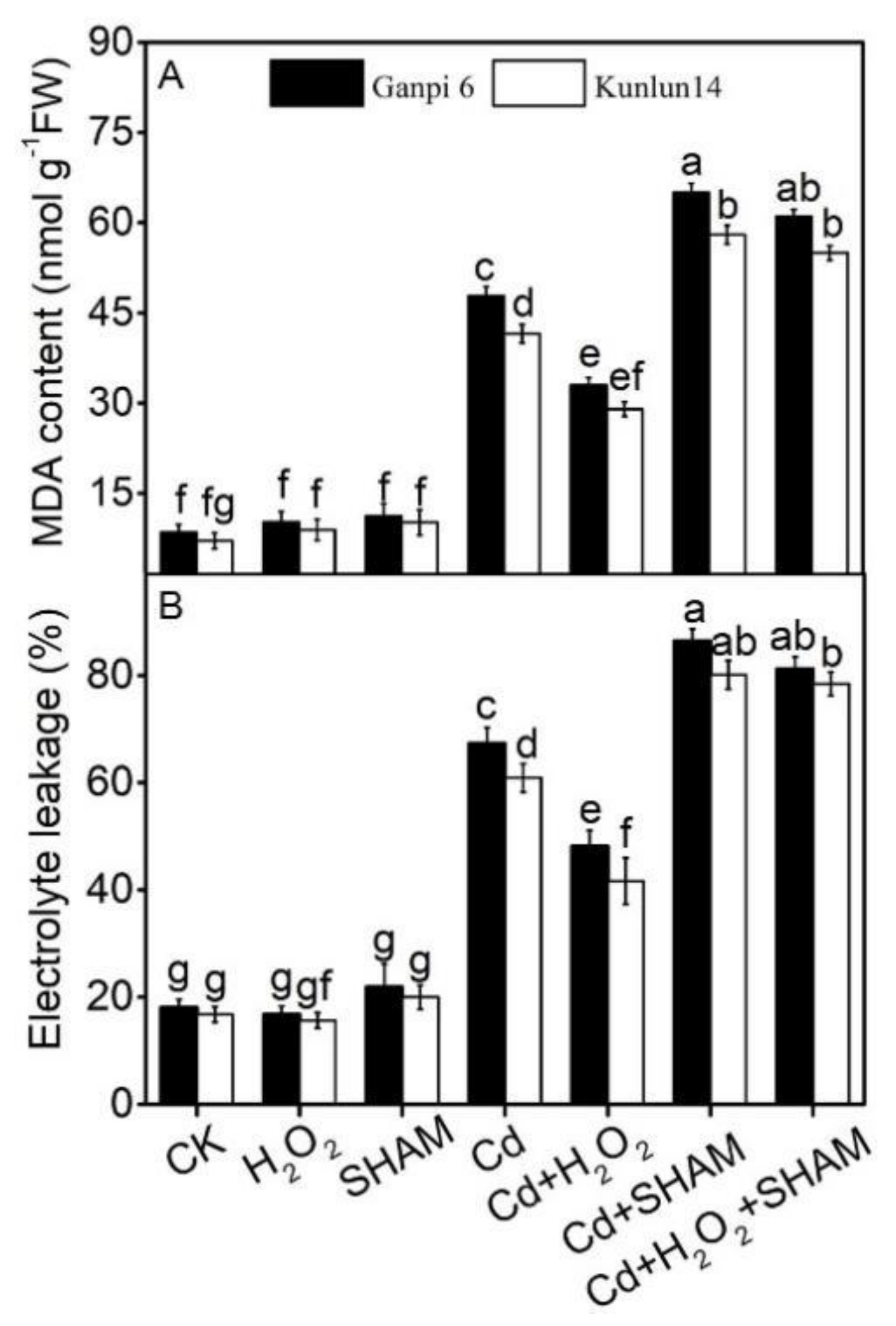 Plants 10 02329 g006
