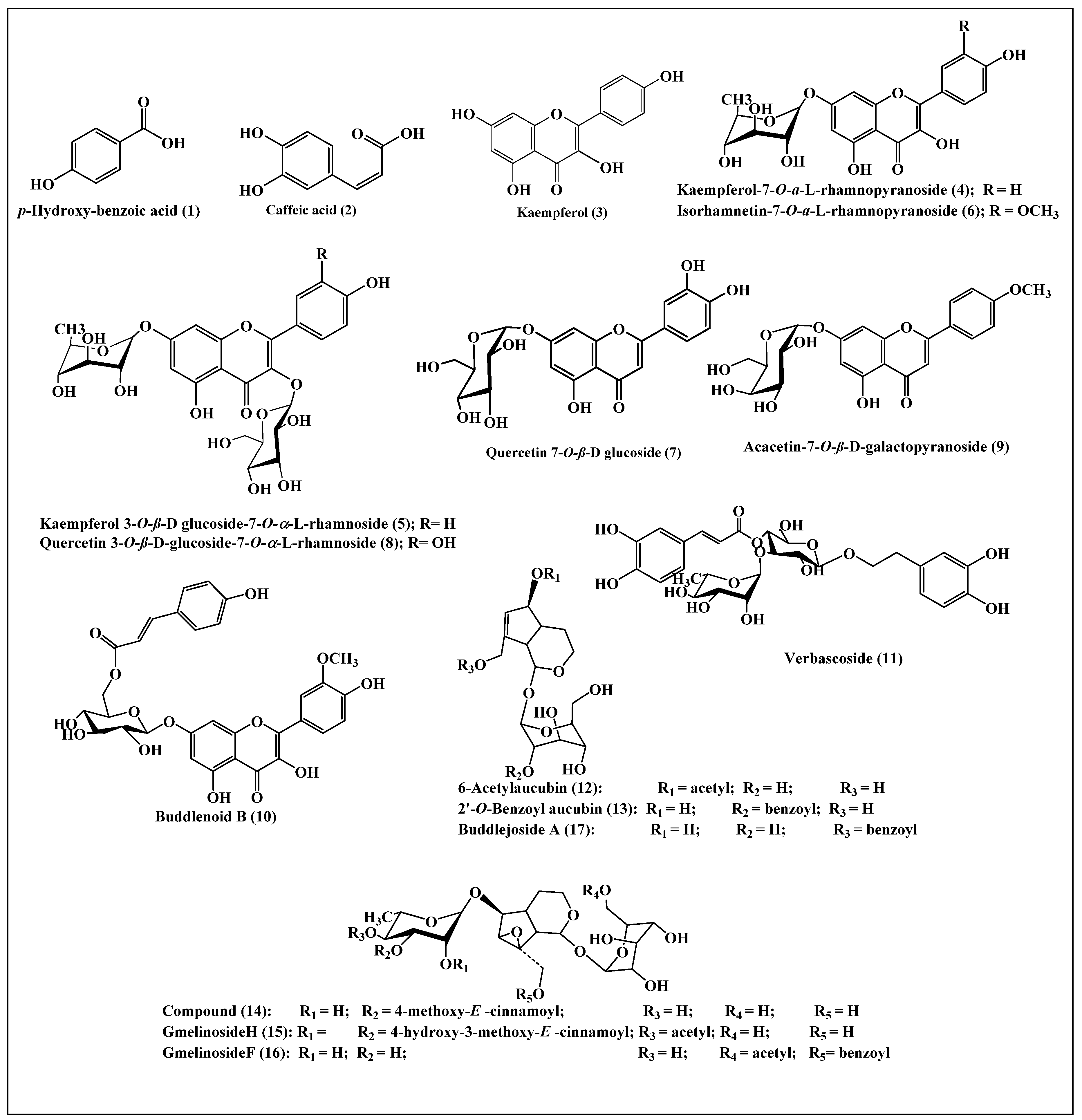 Plants 10 02351 g003 Plants 10 02351 g003