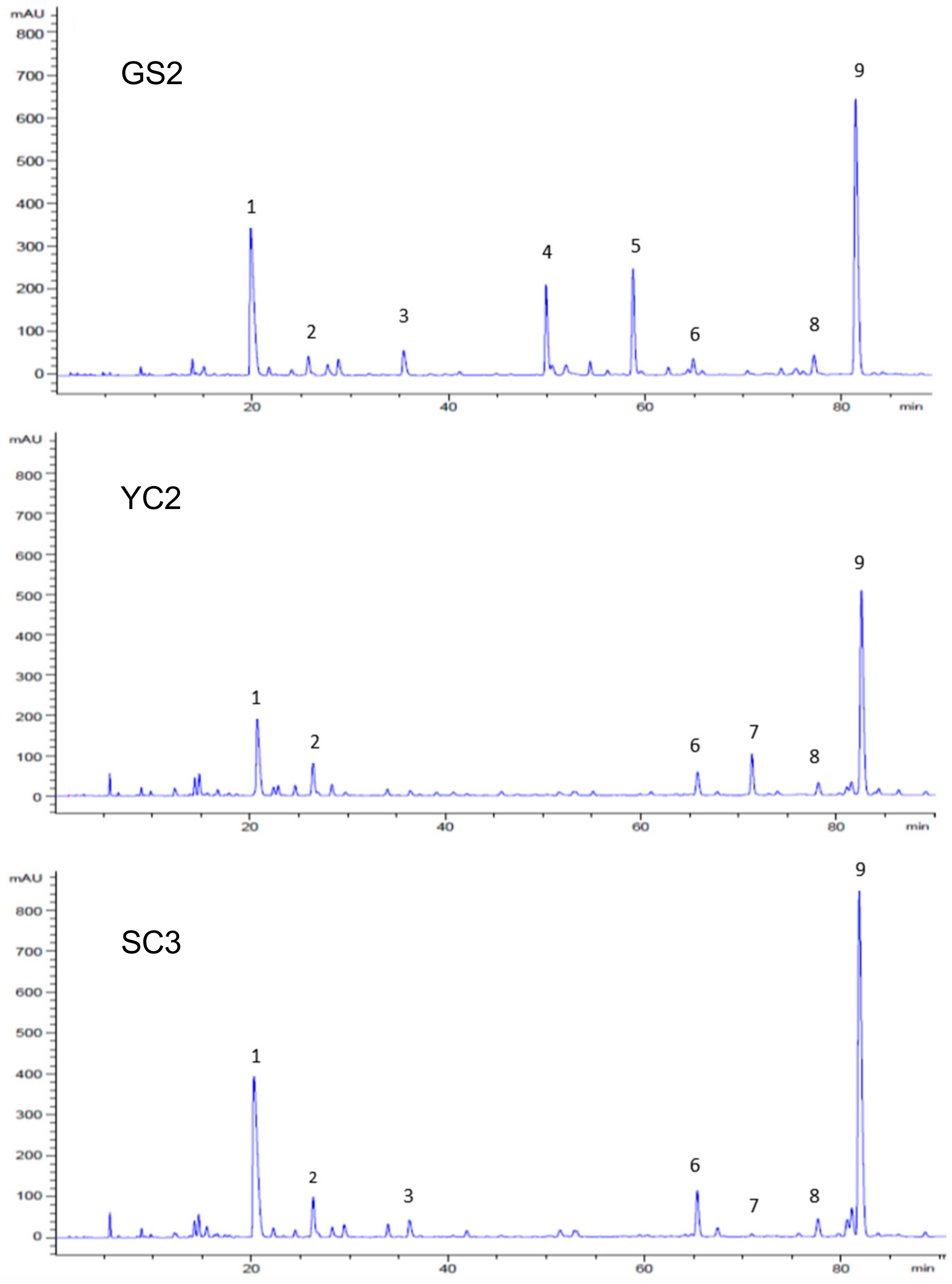 Plants 10 02353 g002
