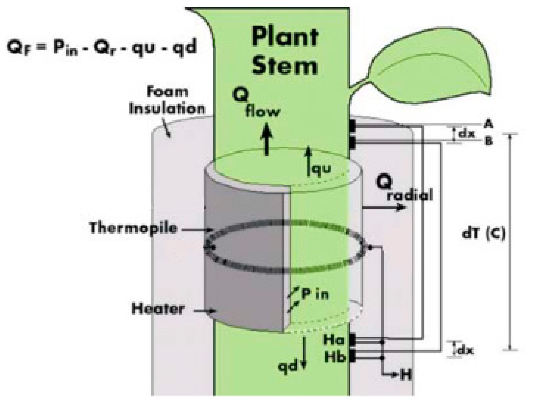 Plants 10 02354 g003