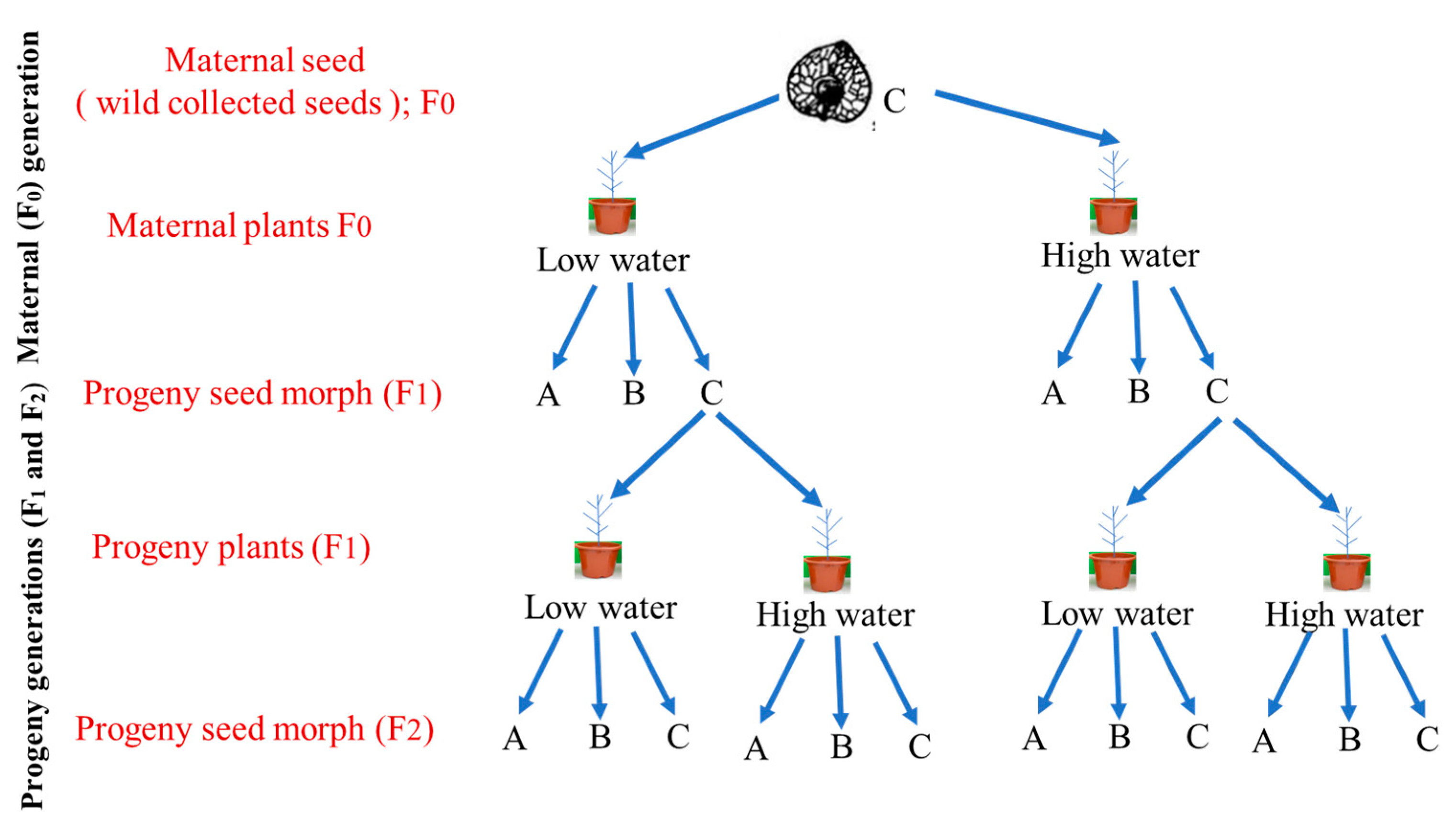 Plants 10 02362 g007 550