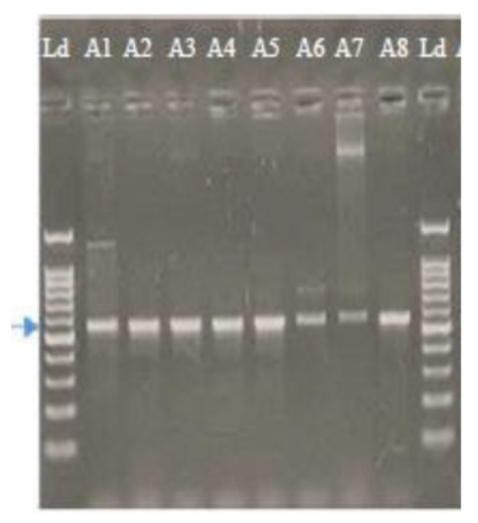 Plants 10 02363 g001 Plants 10 02363 g001