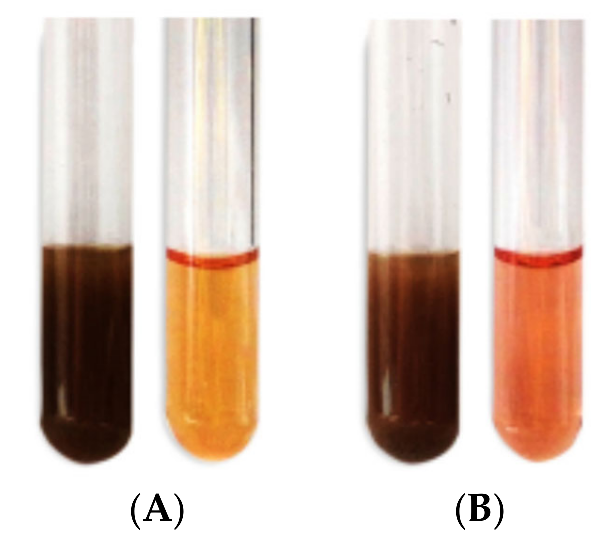 Plants 10 02363 g005 Plants 10 02363 g005