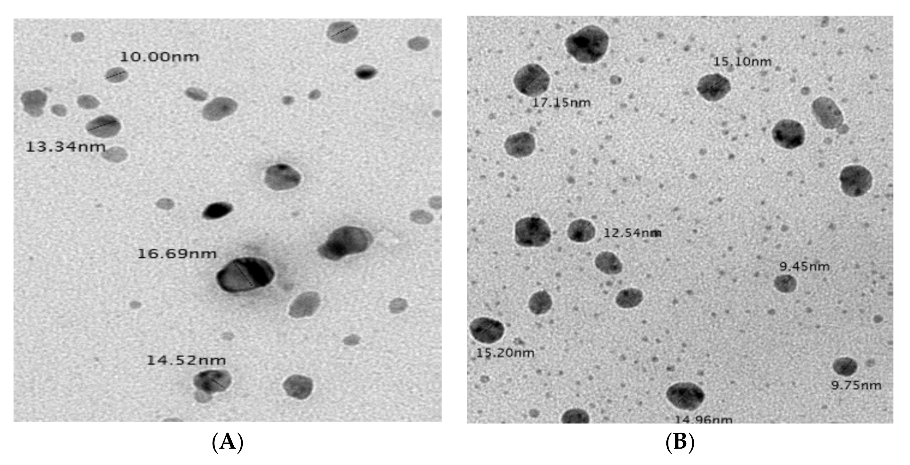 Plants 10 02363 g008 Plants 10 02363 g008