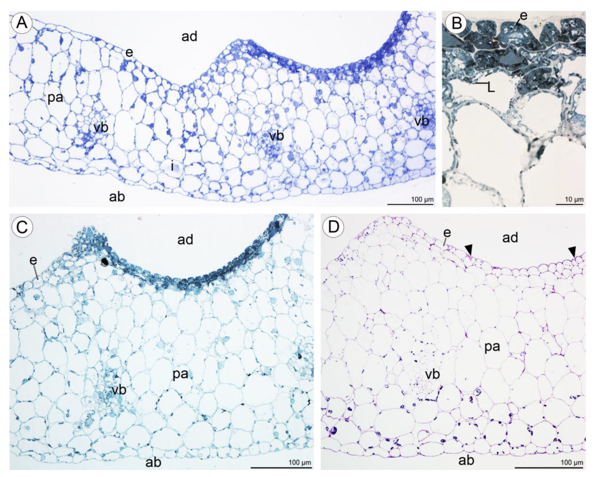 Plants 10 02373 g010