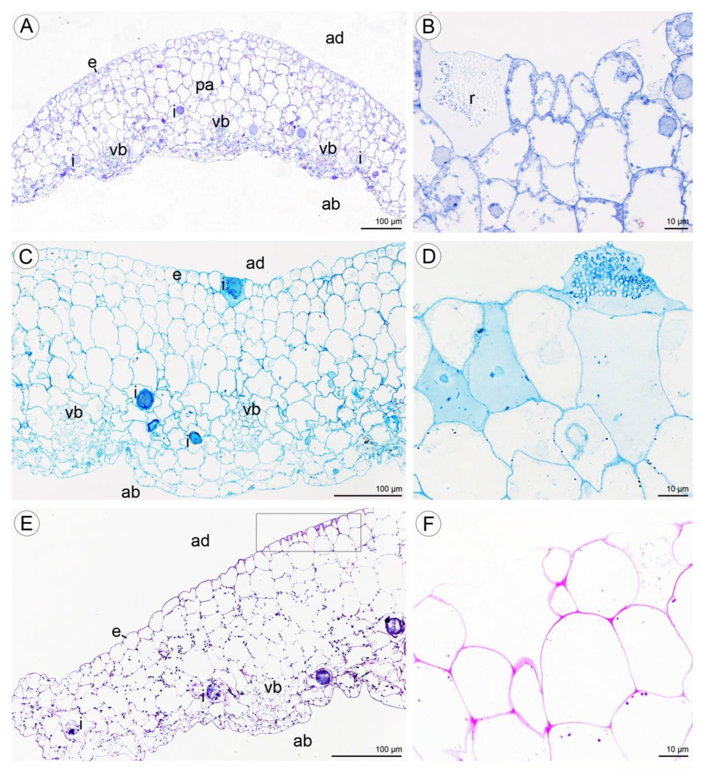 Plants 10 02373 g012a