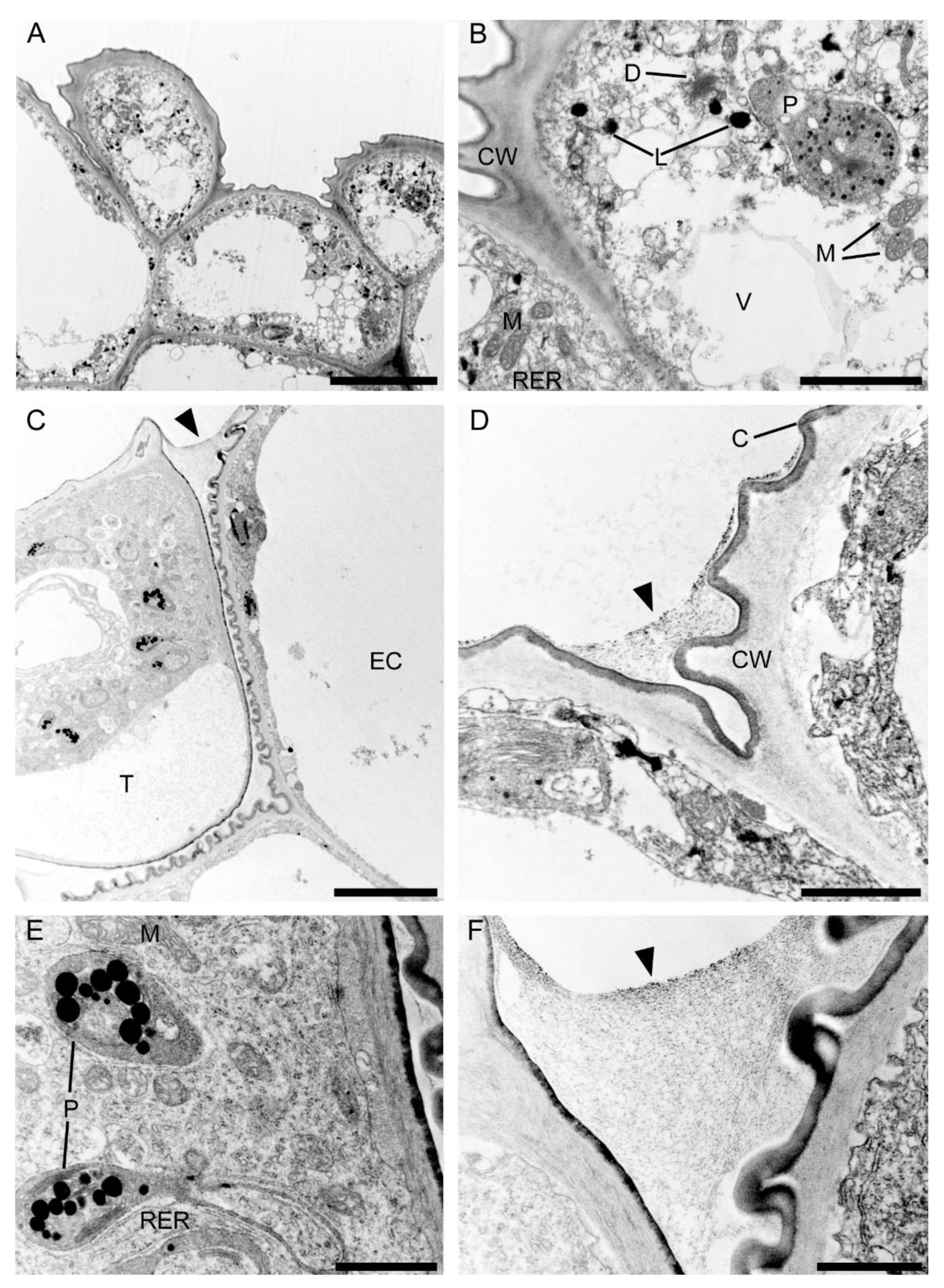 Plants 10 02373 g014