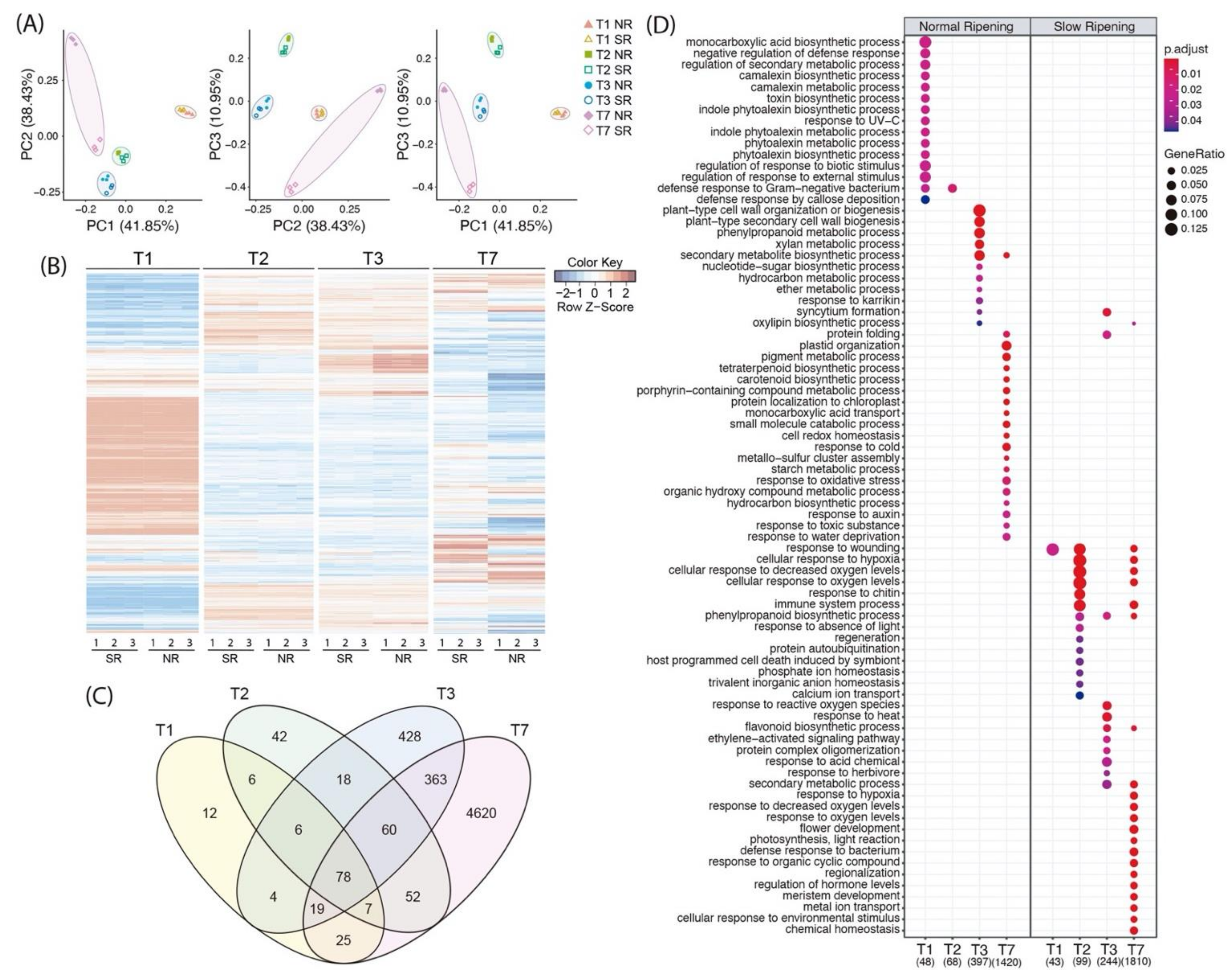 Plants 10 02380 g002 550