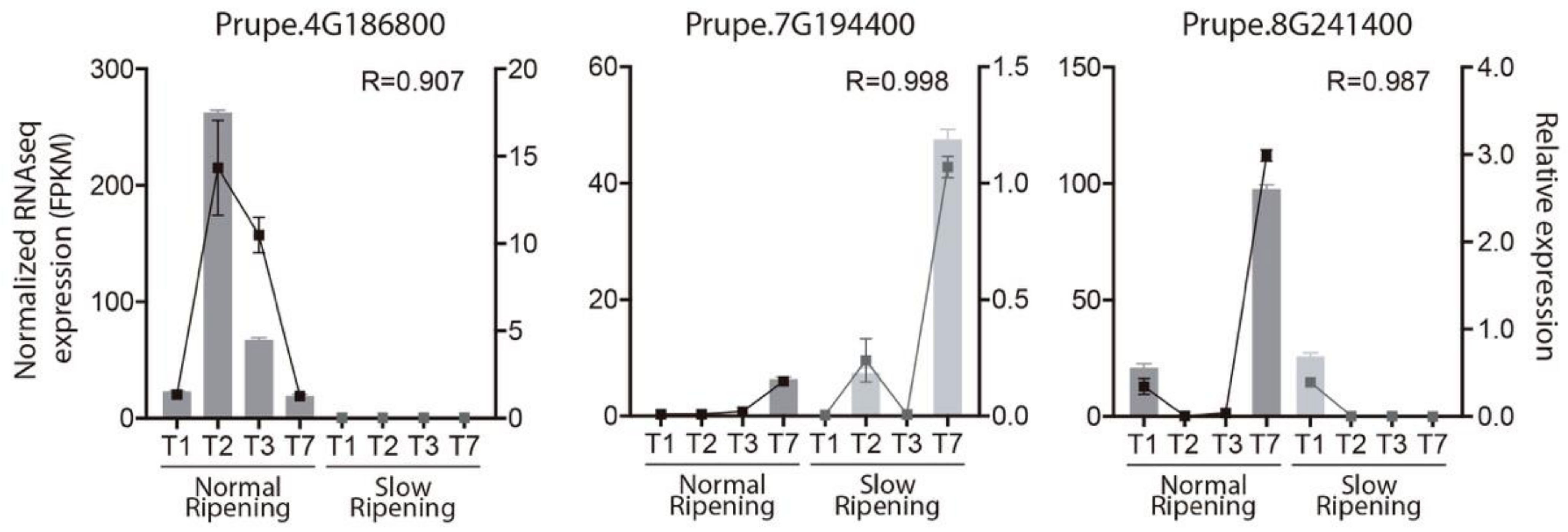 Plants 10 02380 g004 550