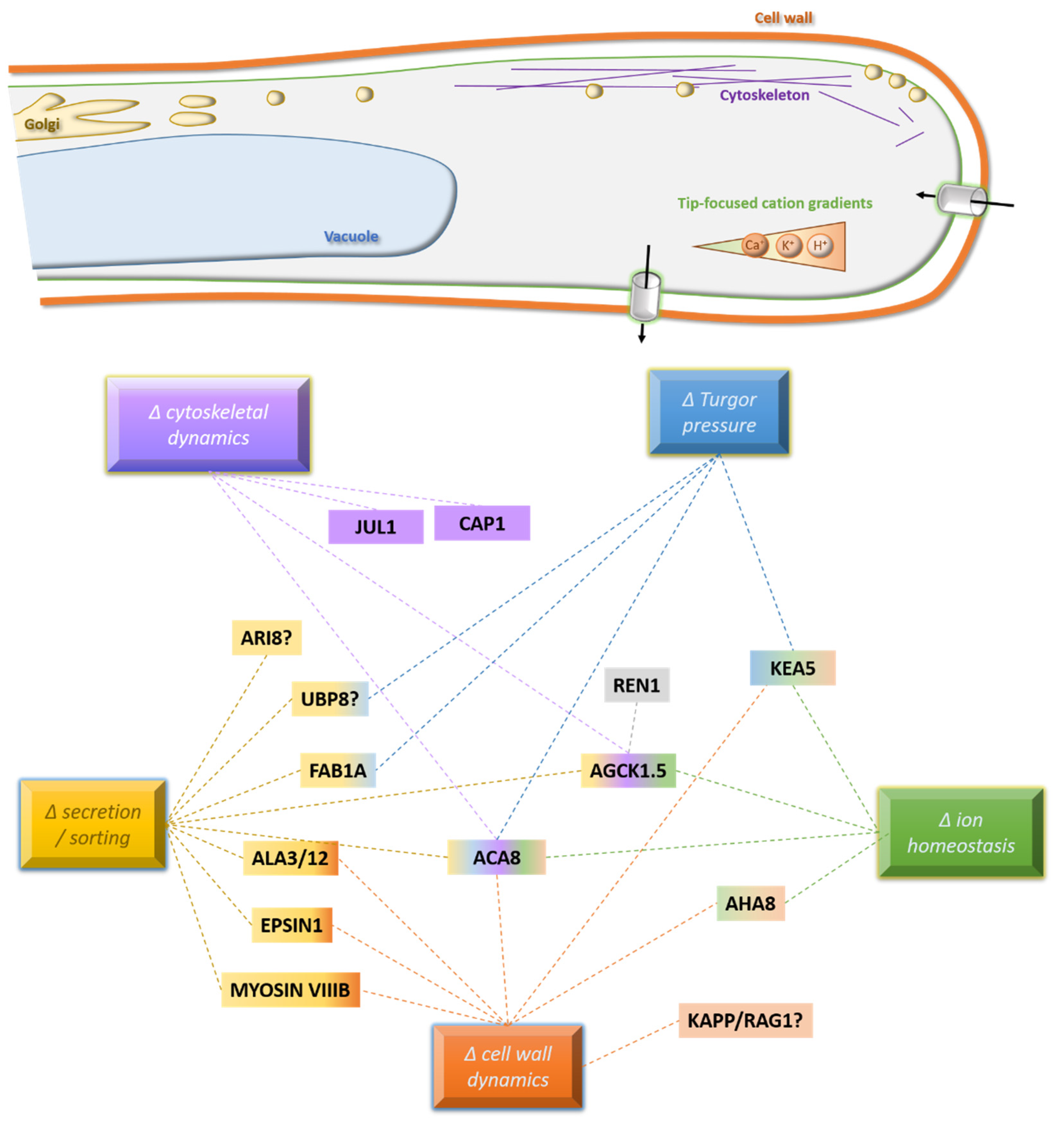 Plants 10 02382 g002 Plants 10 02382 g002
