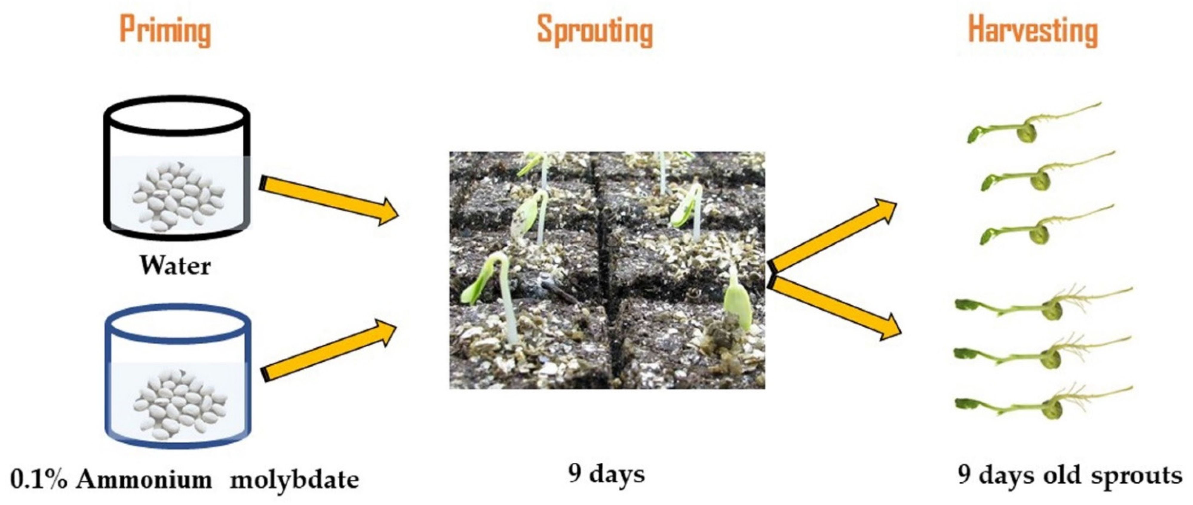 Plants 10 02387 g006