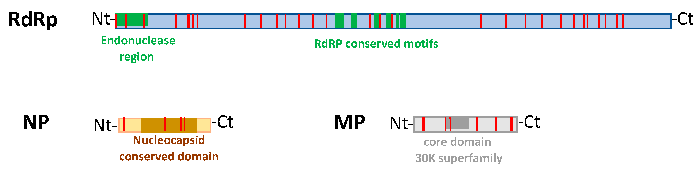 Plants 10 02390 g003 550