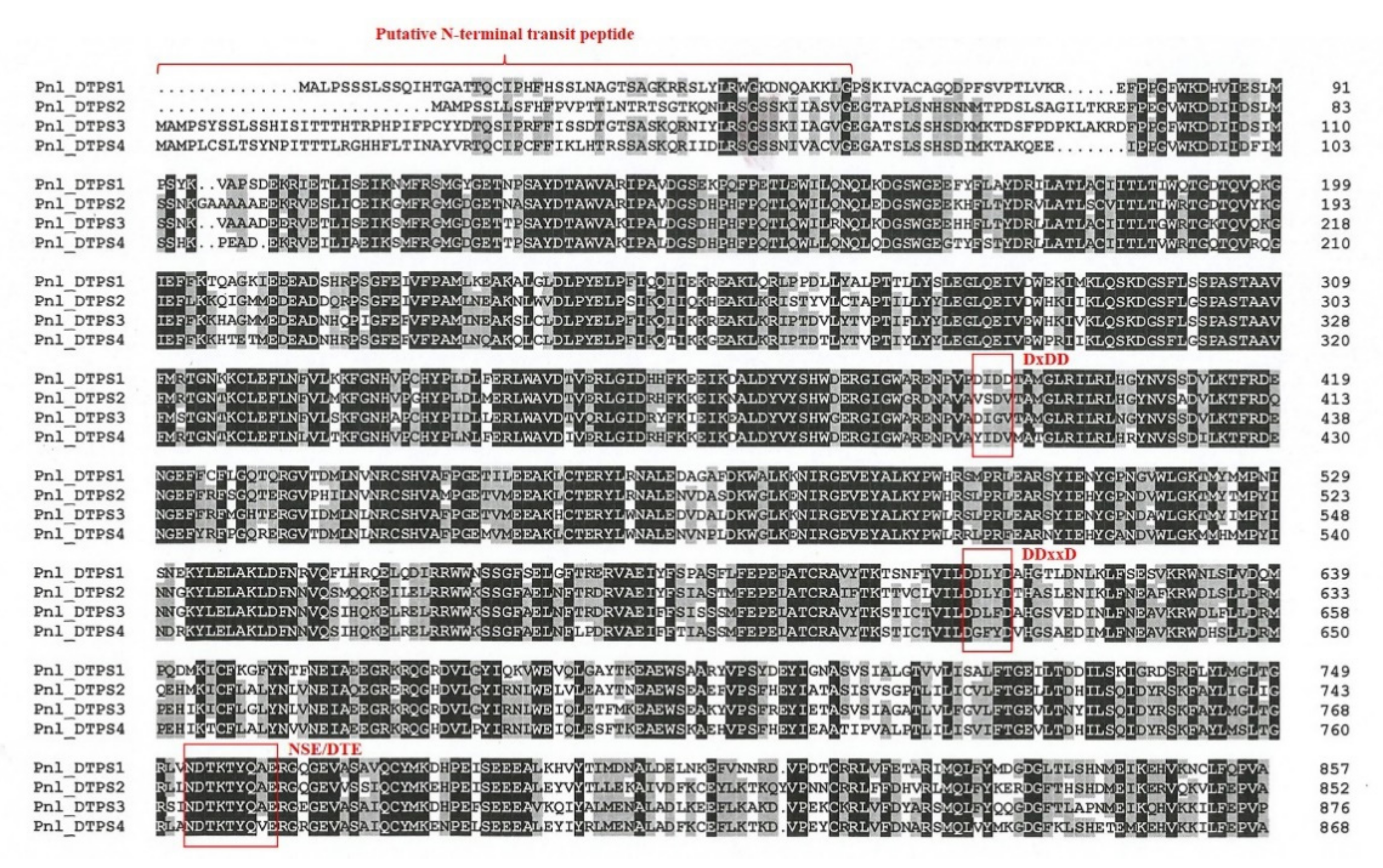 Plants 10 02391 g002
