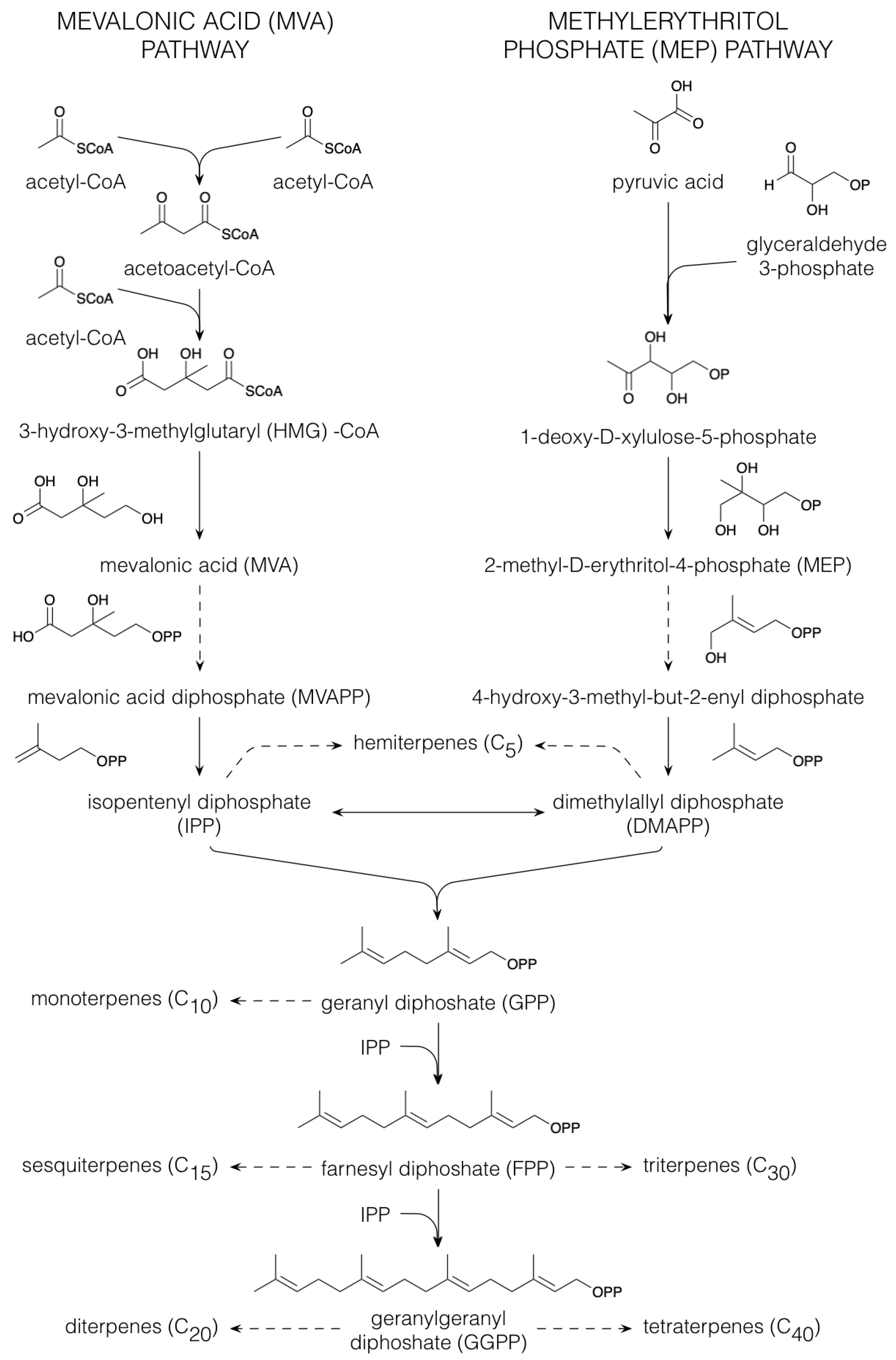 Plants 10 02393 g002