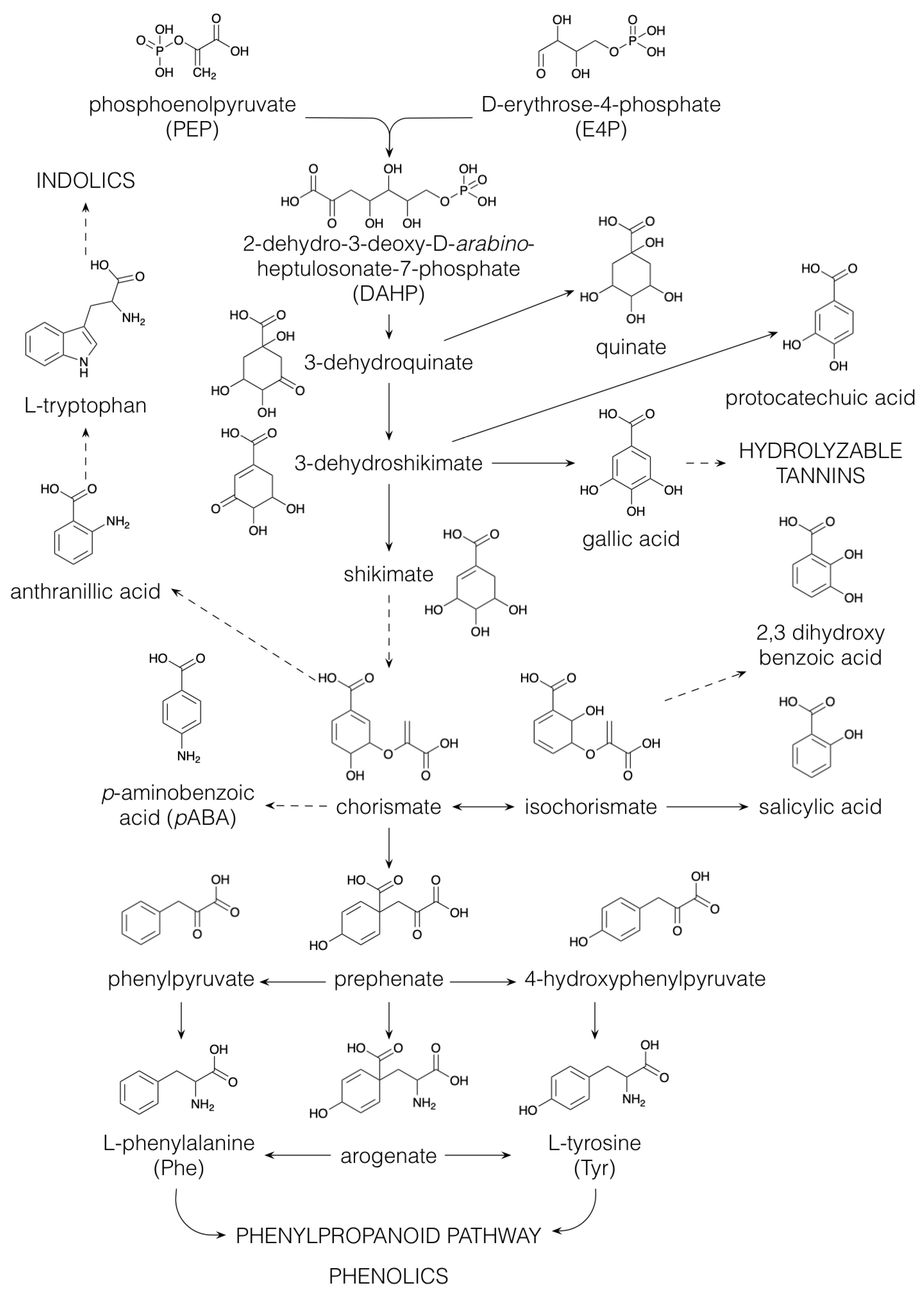 Plants 10 02393 g004