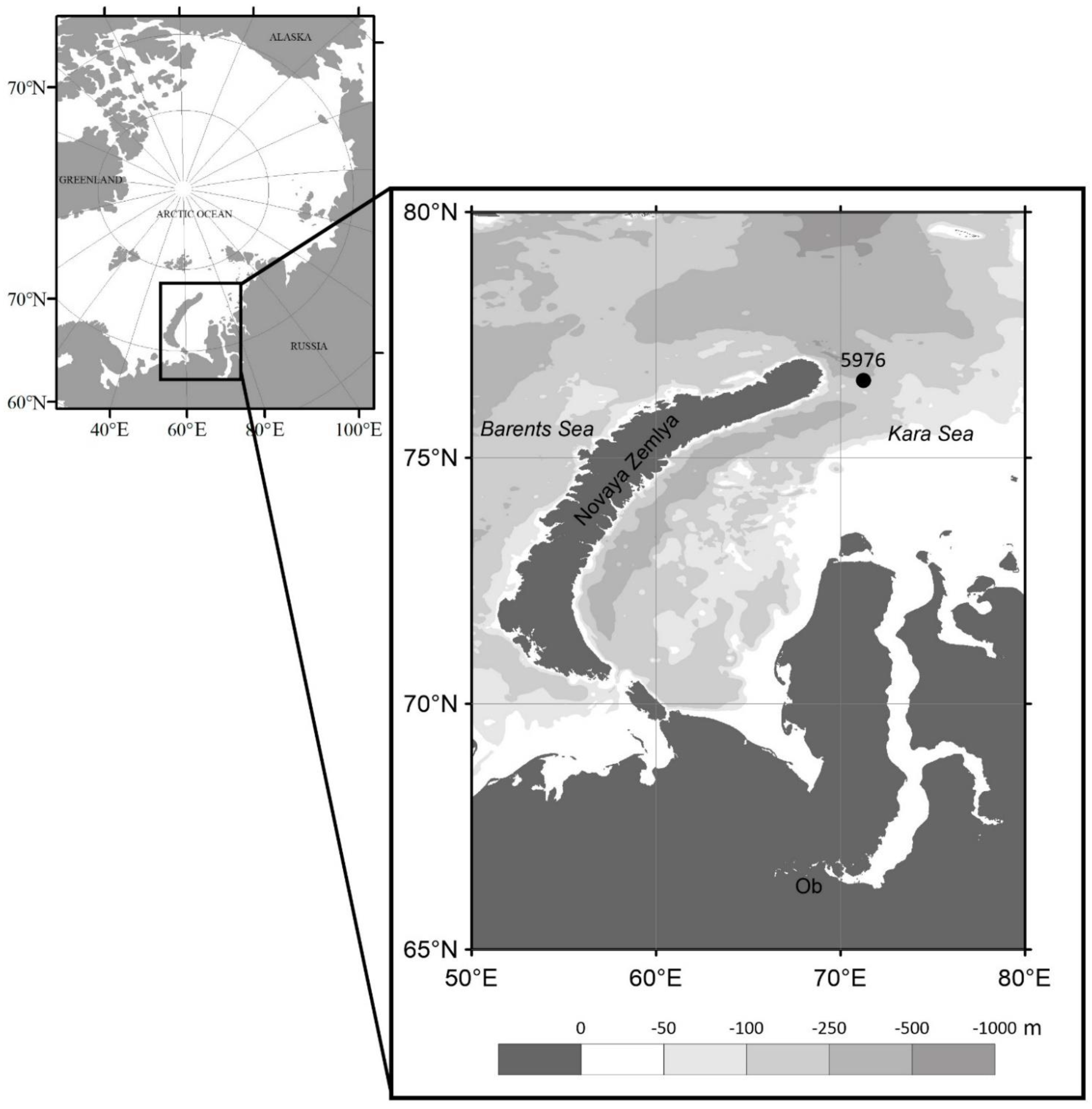Plants 10 02394 g001