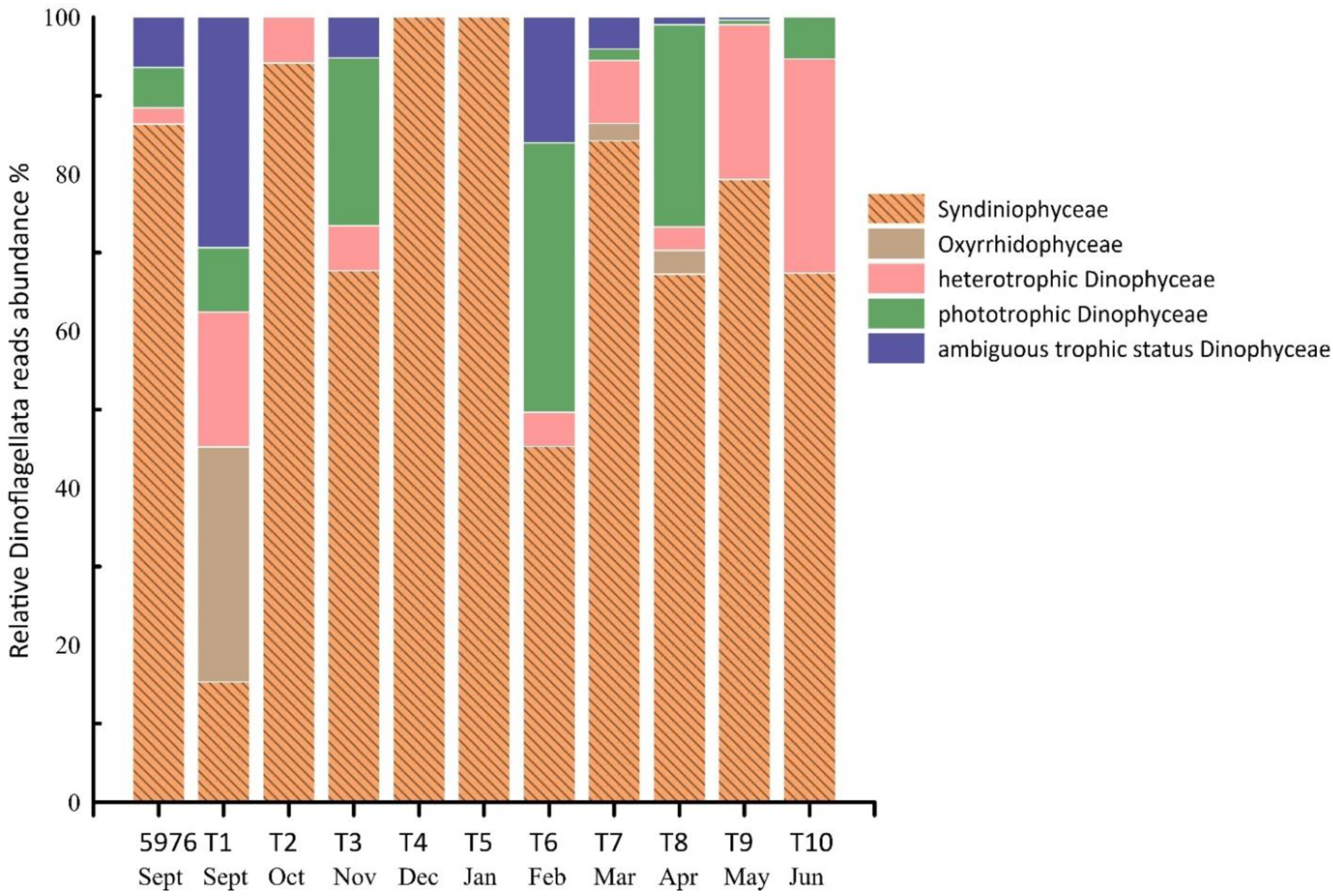 Plants 10 02394 g005