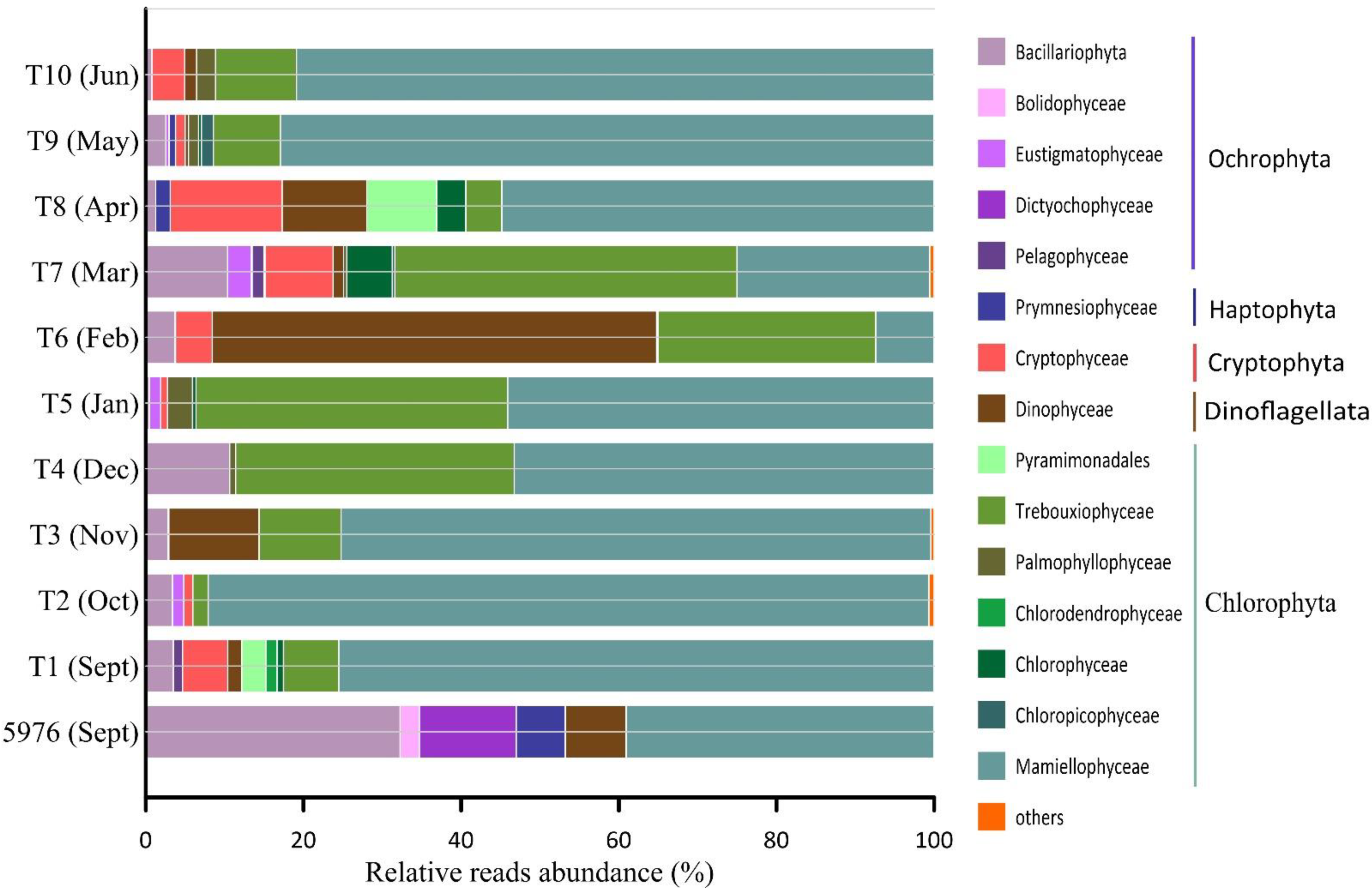 Plants 10 02394 g006