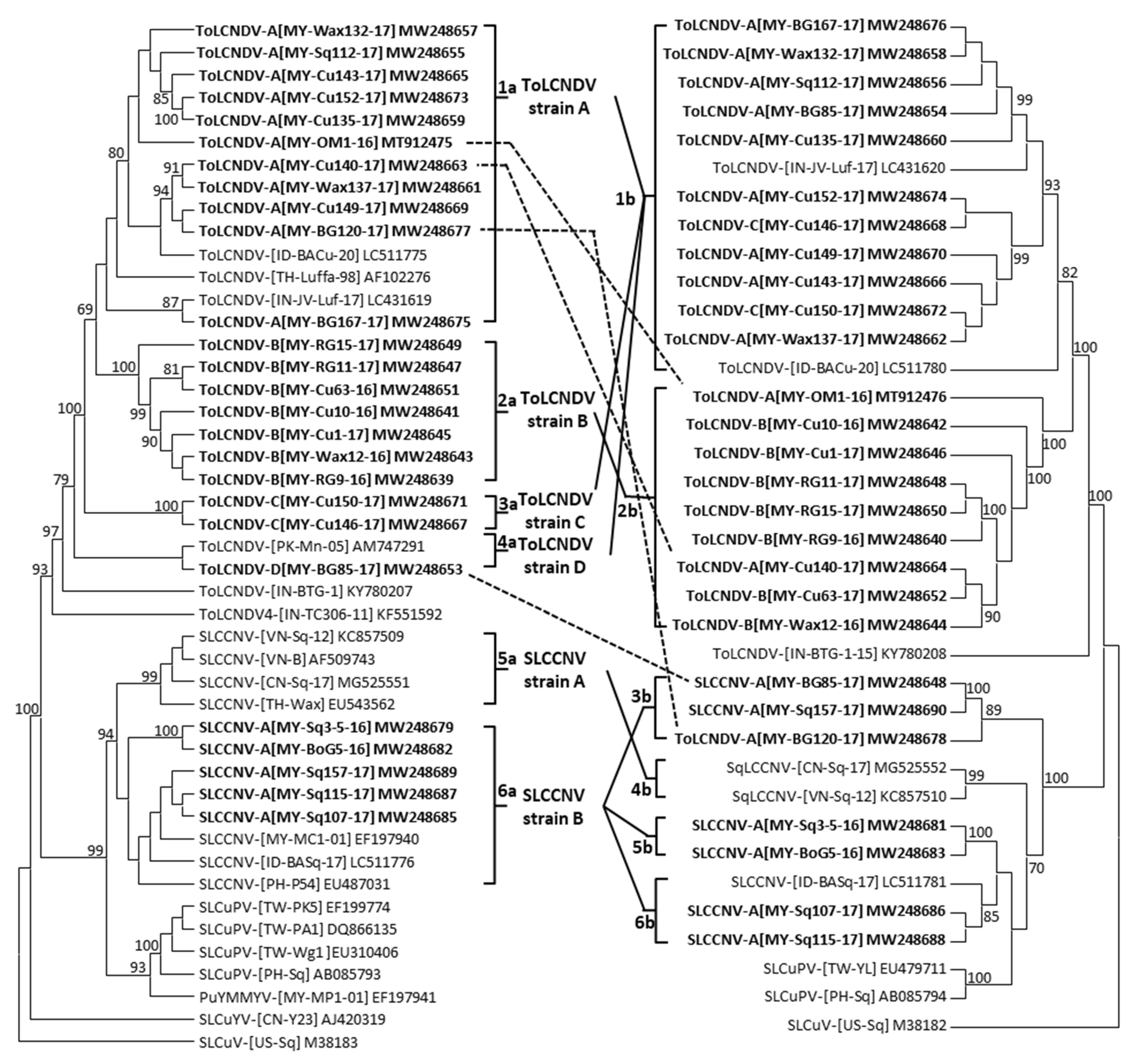 Plants 10 02396 g001 Plants 10 02396 g001
