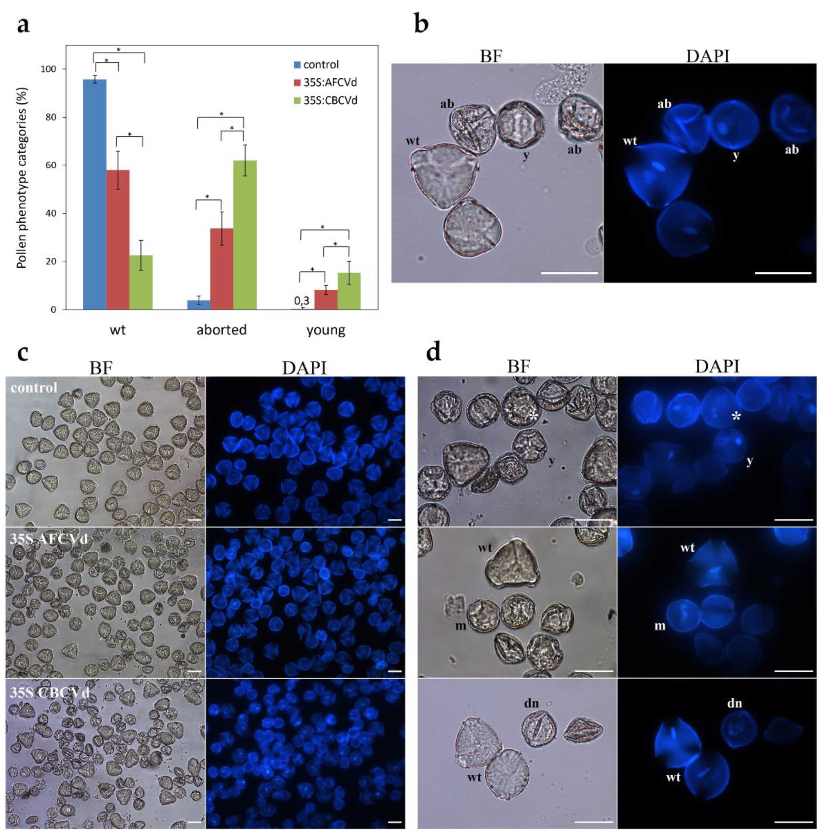 Plants 10 02398 g006 550