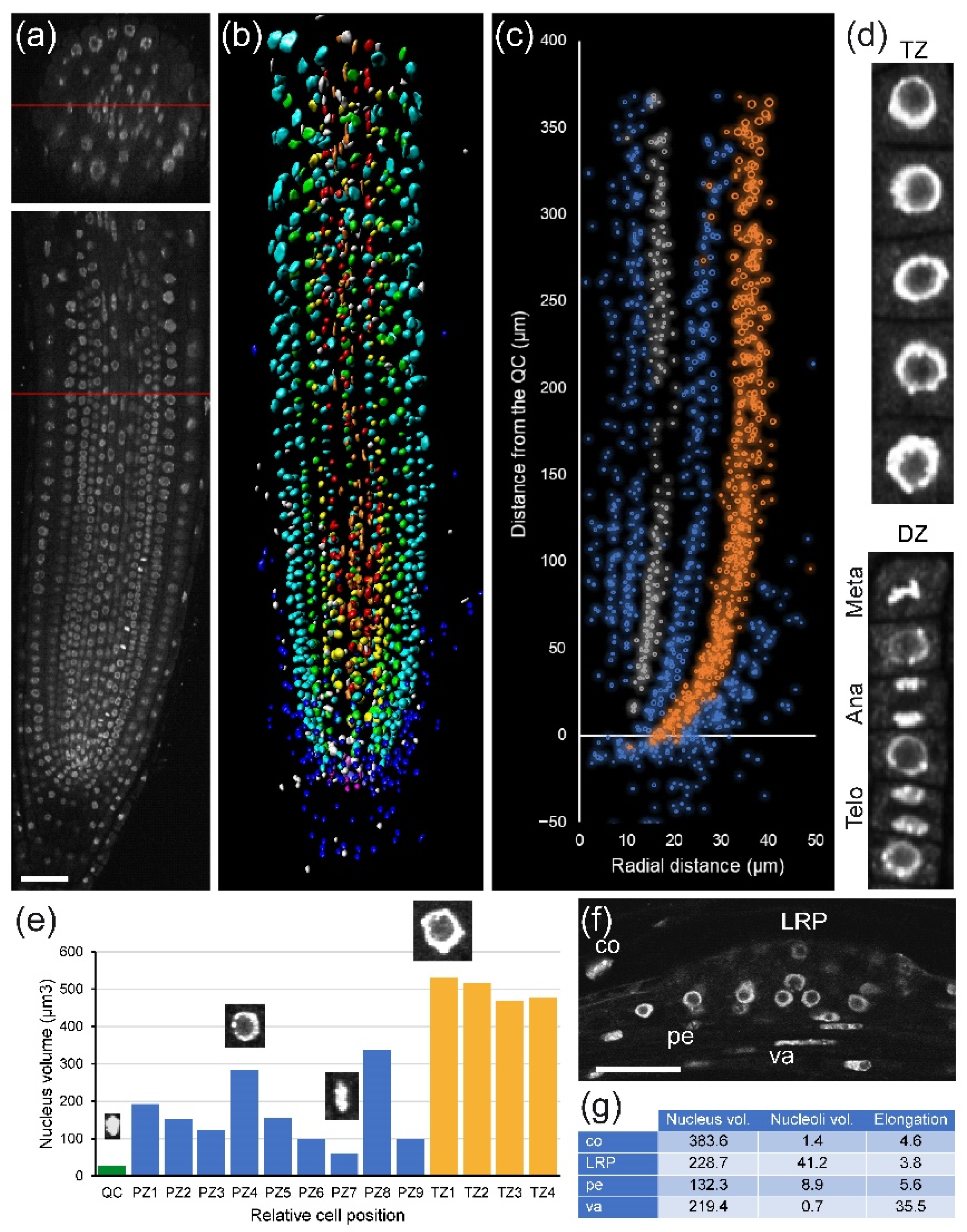 Plants 10 02399 g002 550