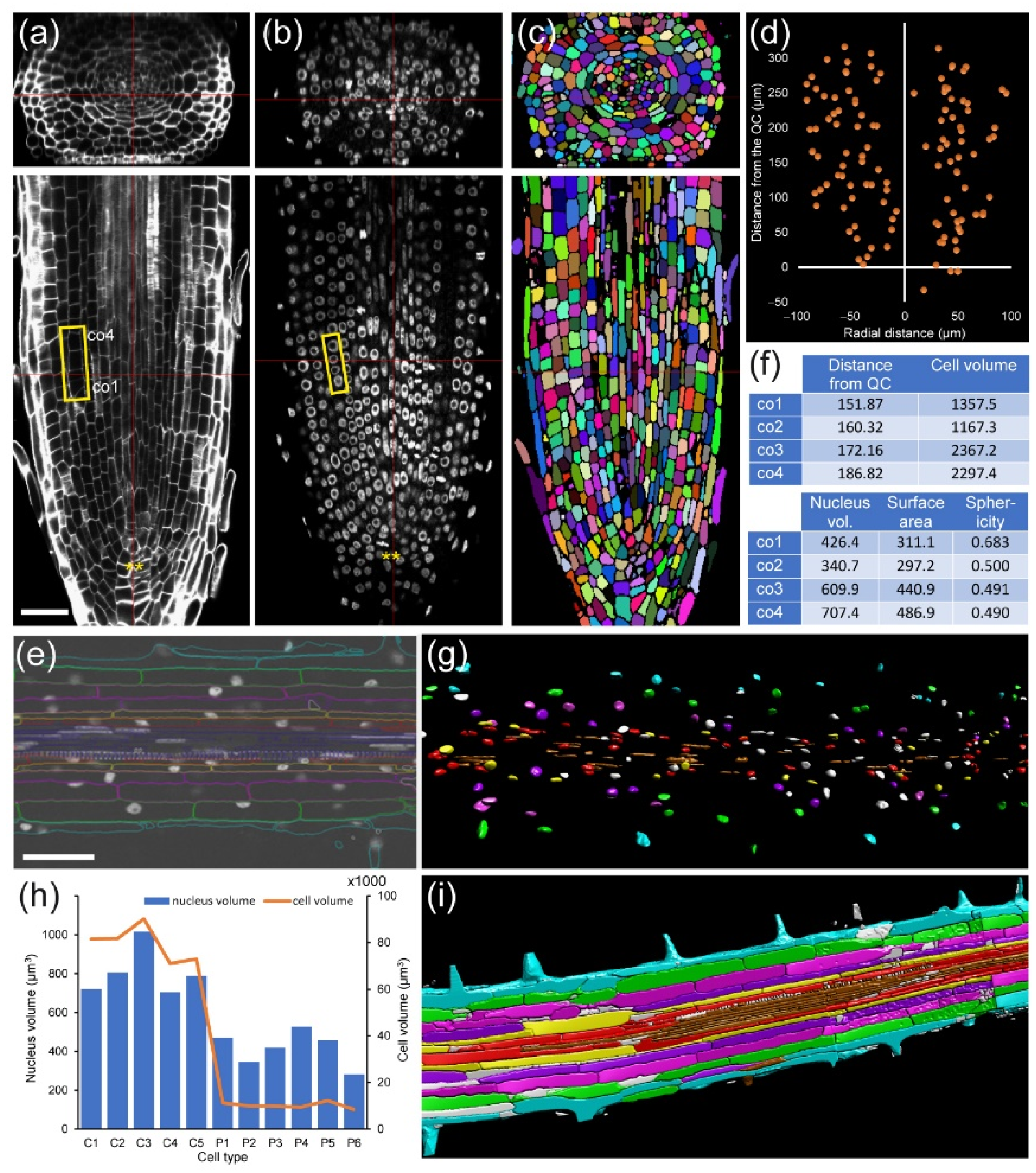 Plants 10 02399 g003 550