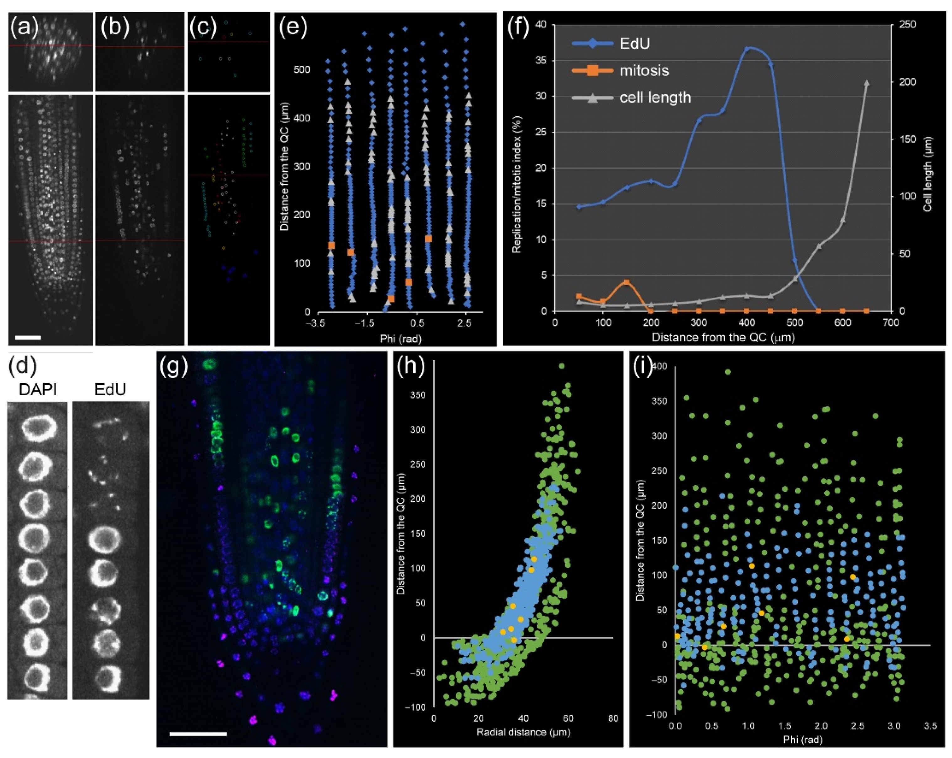 Plants 10 02399 g004 550