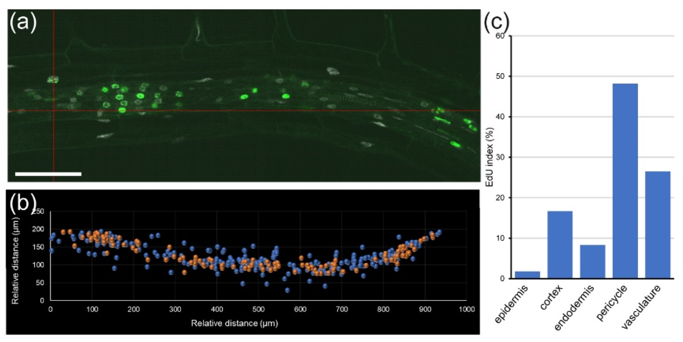 Plants 10 02399 g005 550