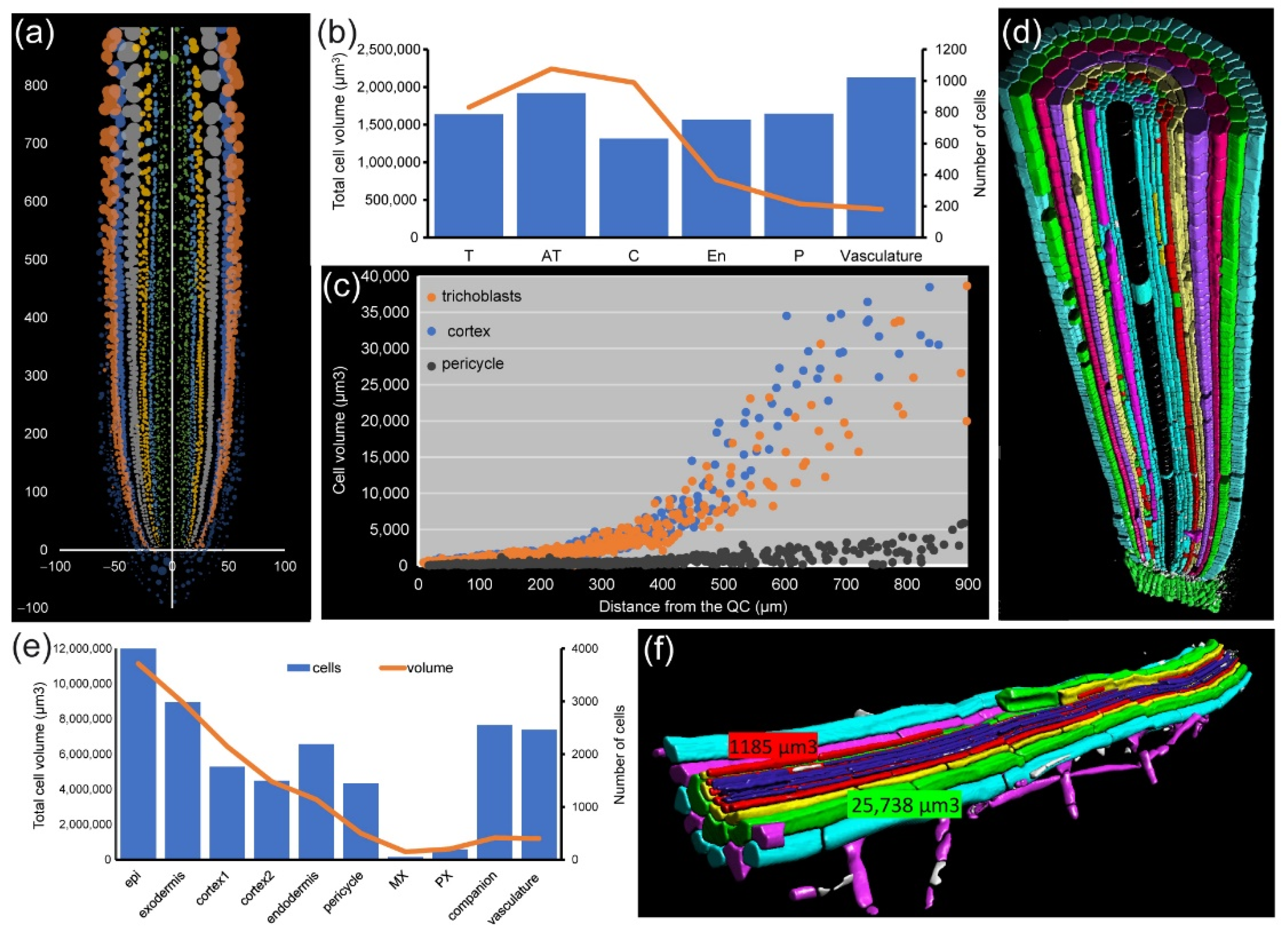 Plants 10 02399 g007 550