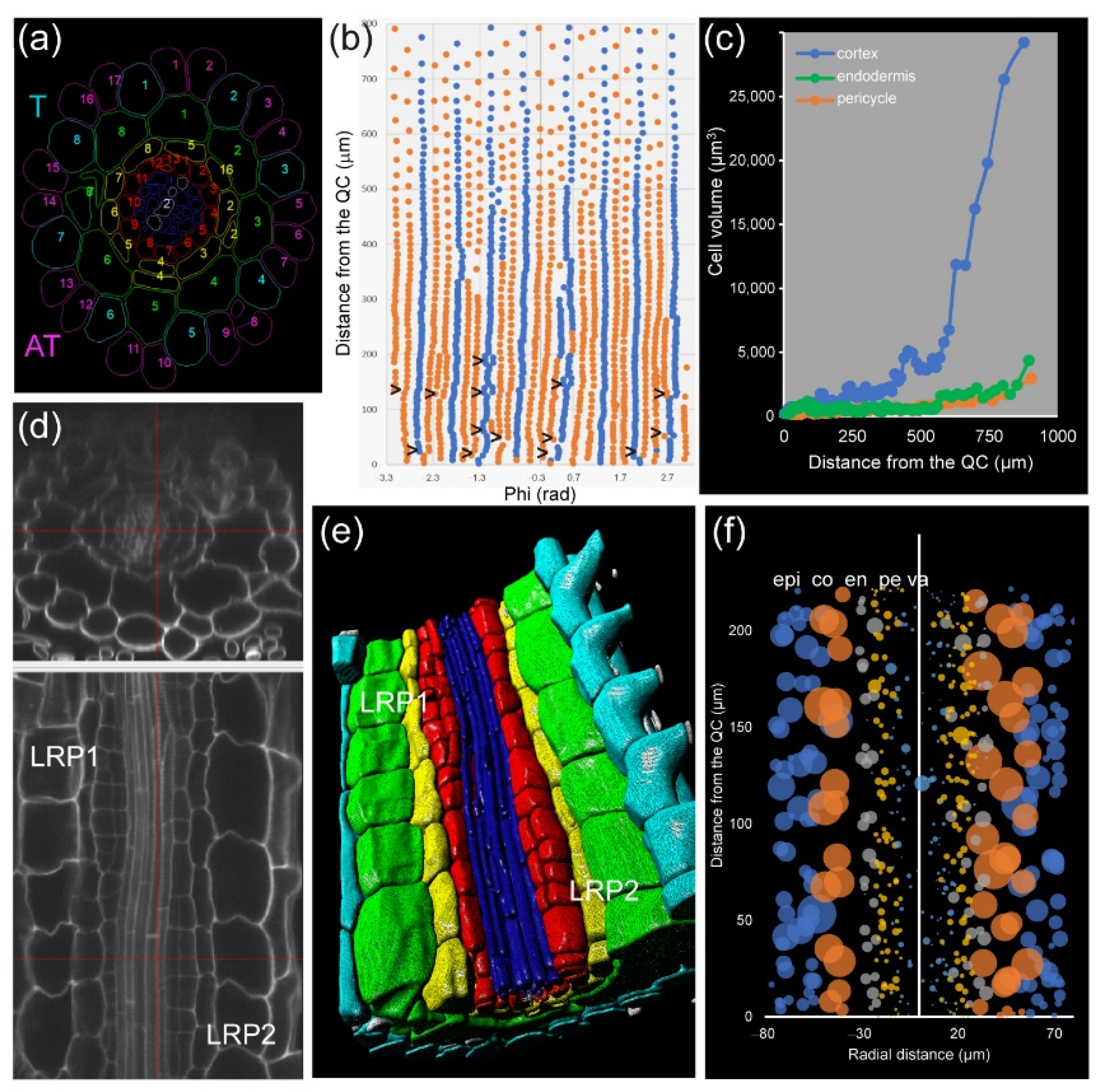 Plants 10 02399 g008 550