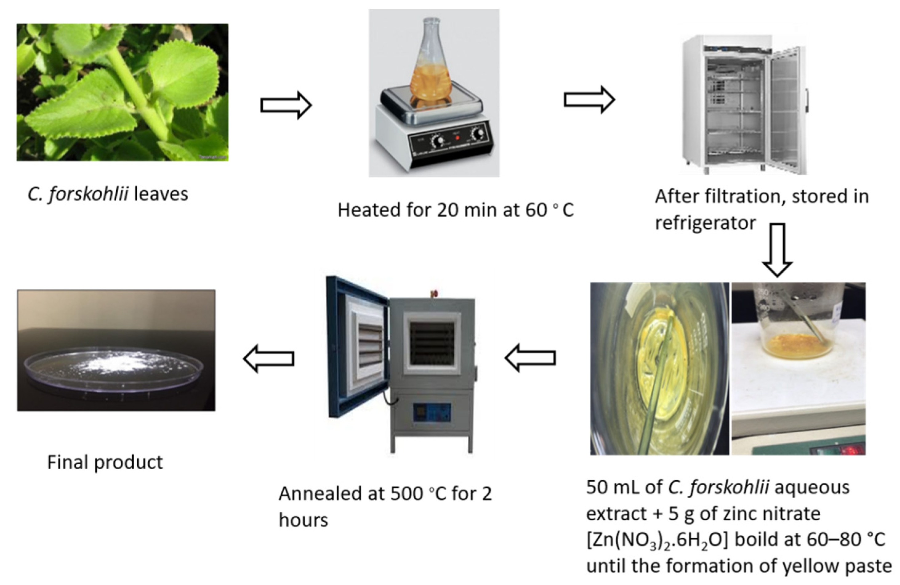 Plants 10 02400 g005 550
