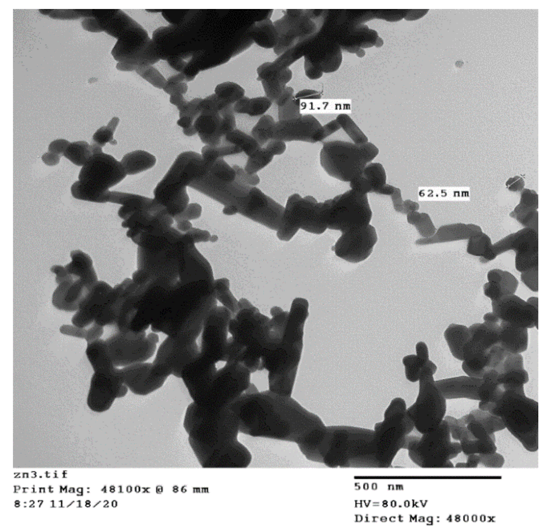 Plants 10 02400 g006 550