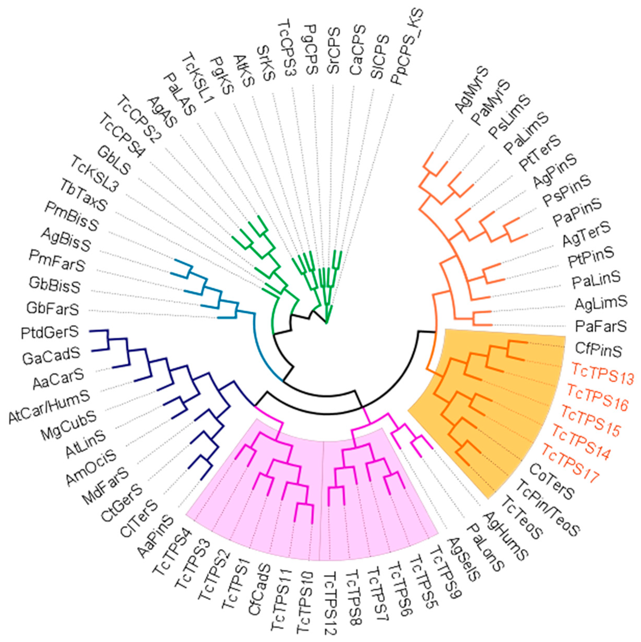 Plants 10 02404 g002 550