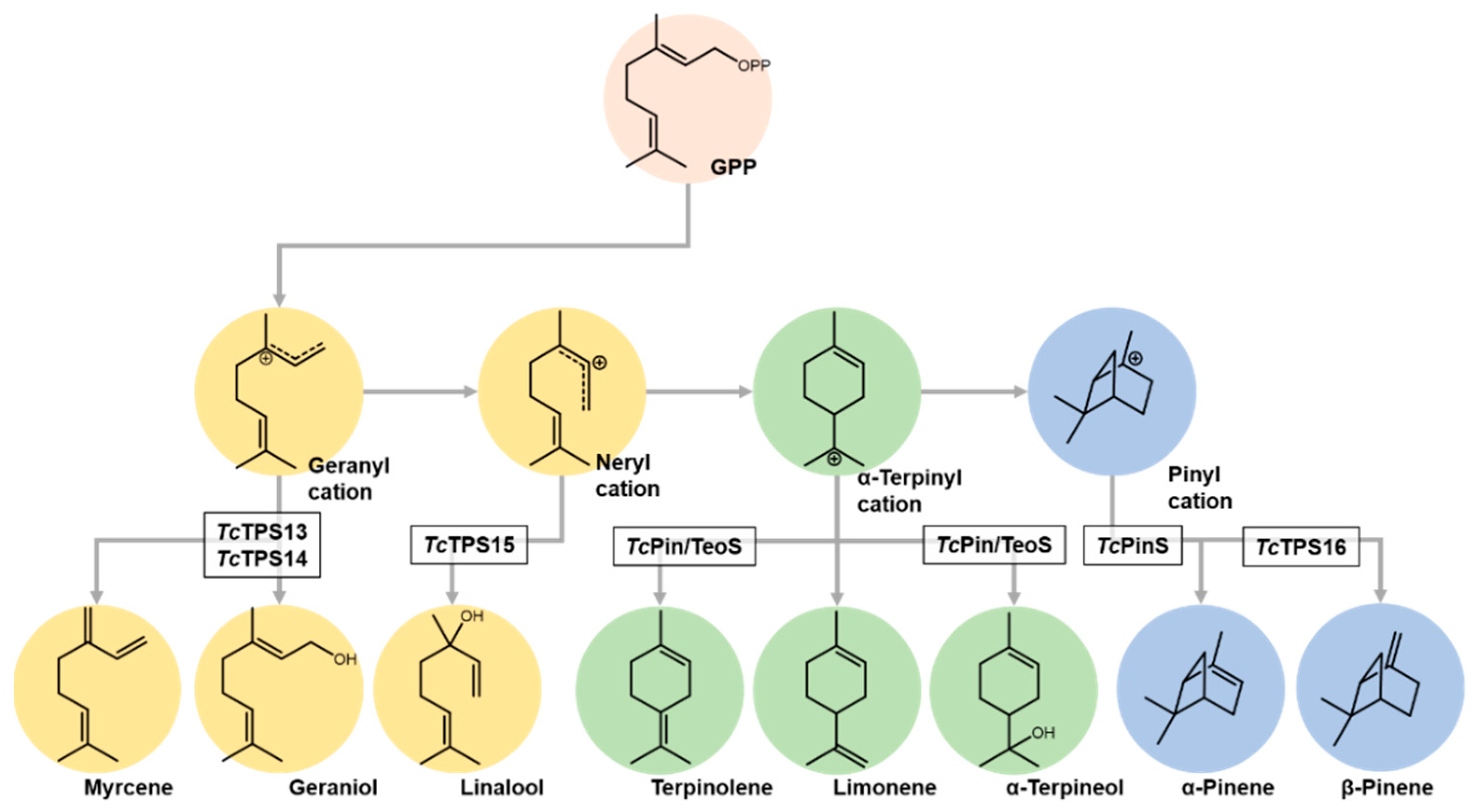 Plants 10 02404 g006 550