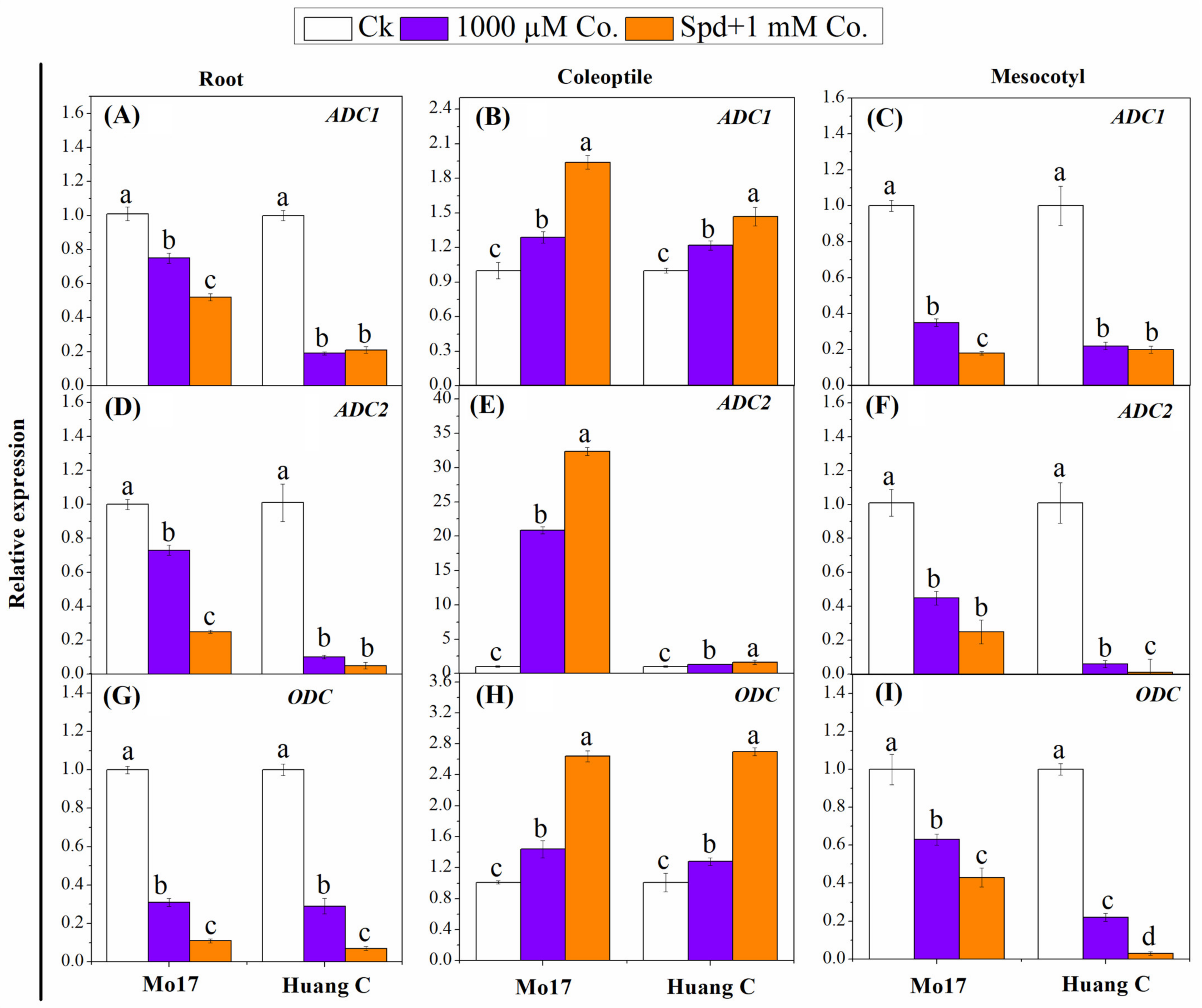Plants 10 02421 g002 Plants 10 02421 g002
