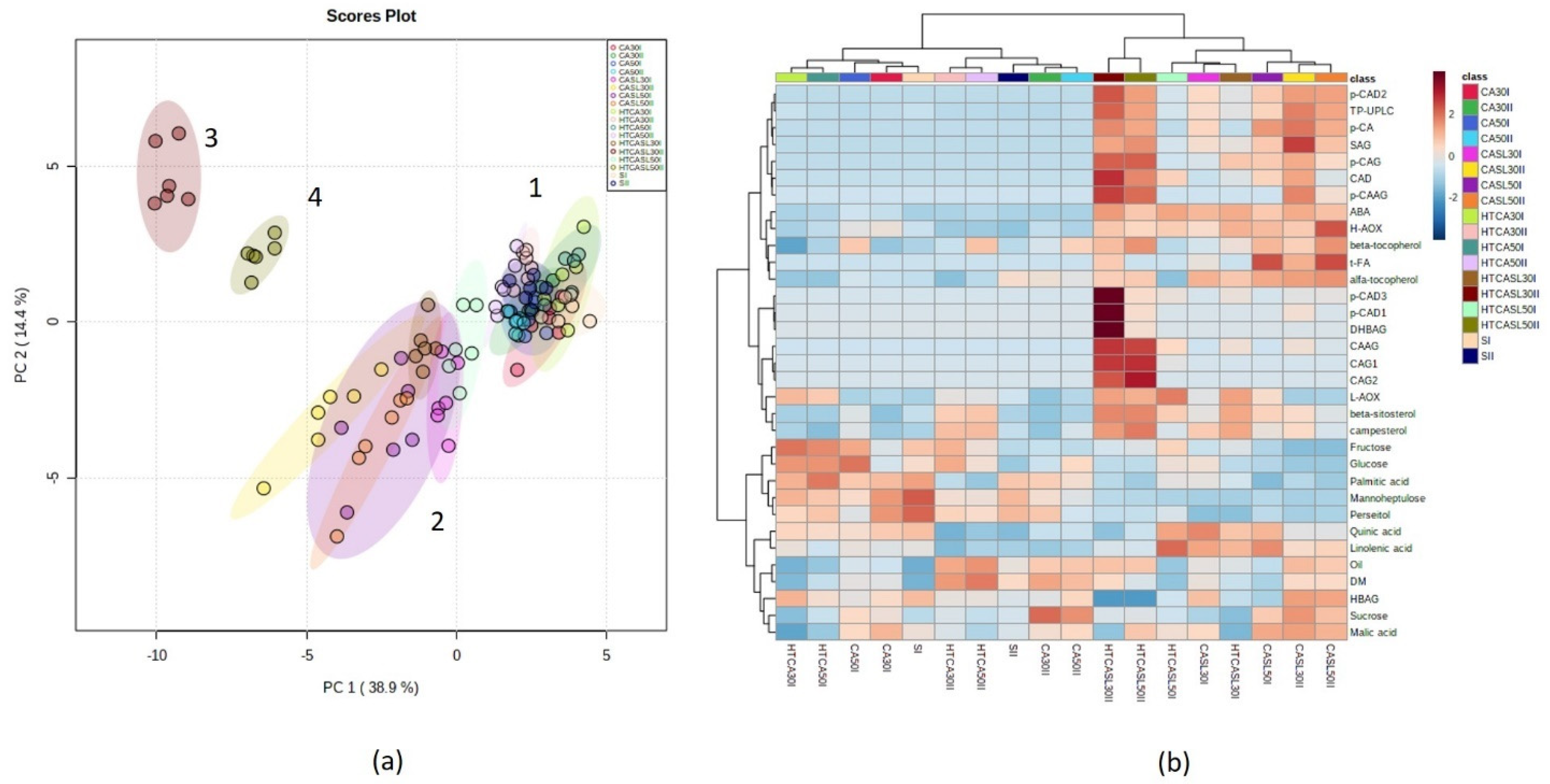 Plants 10 02427 g001 550