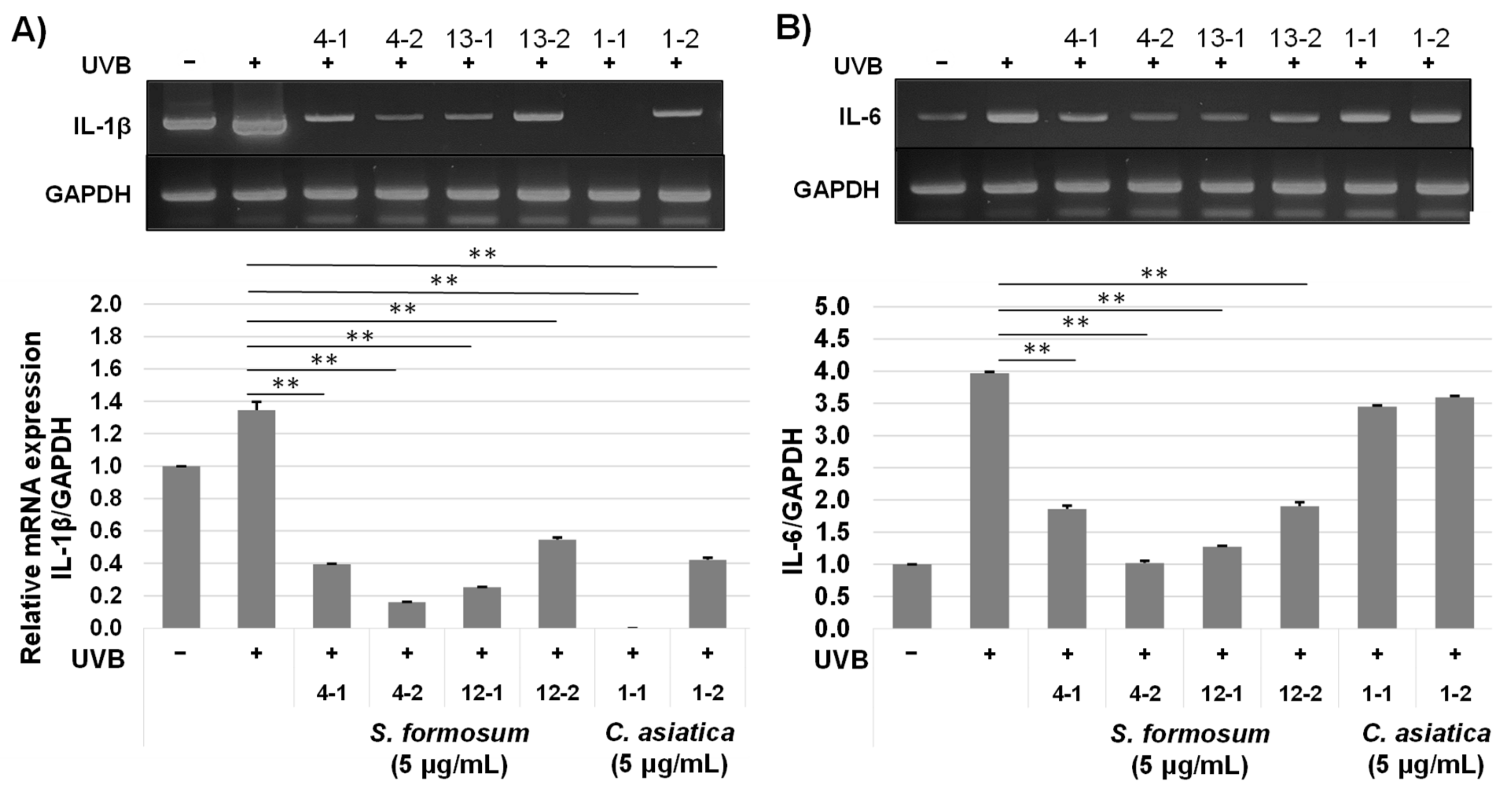 Plants 10 02428 g005a Plants 10 02428 g005a