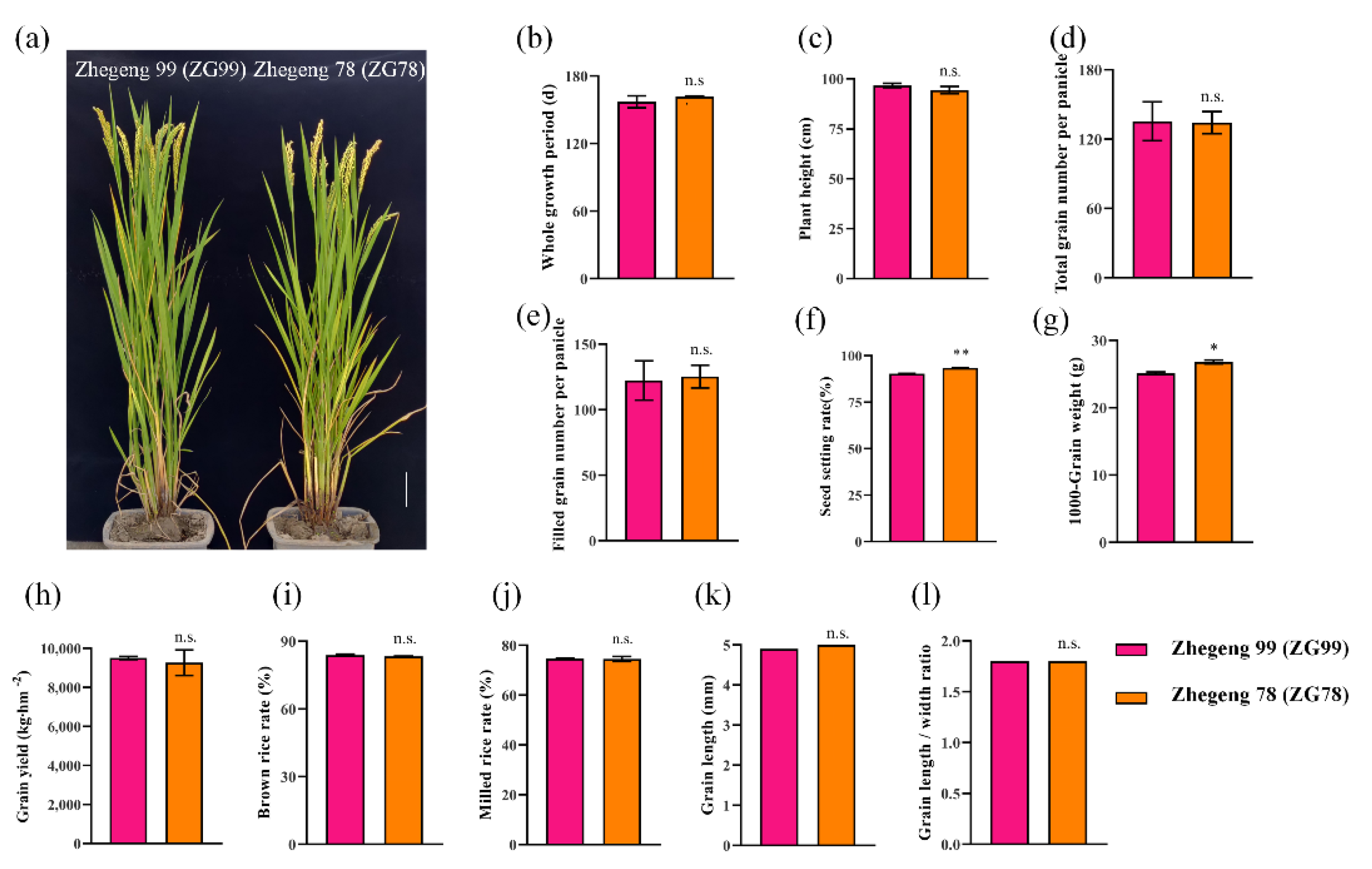 Plants 10 02433 g002 Plants 10 02433 g002