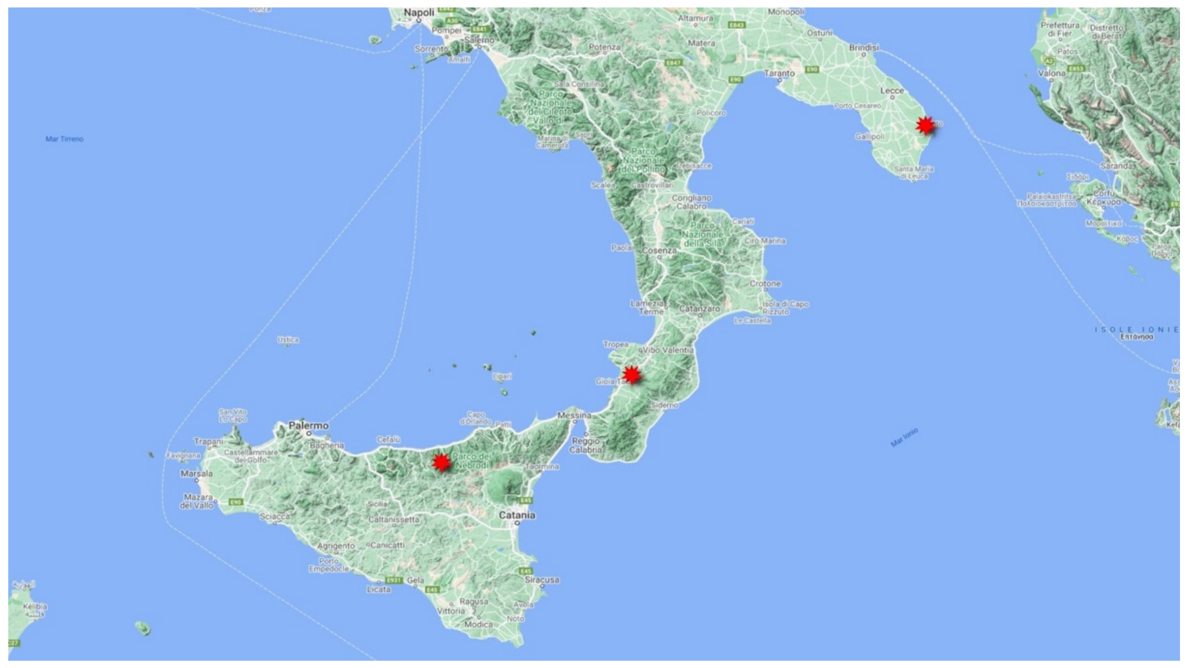 Plants 10 02448 g003 550