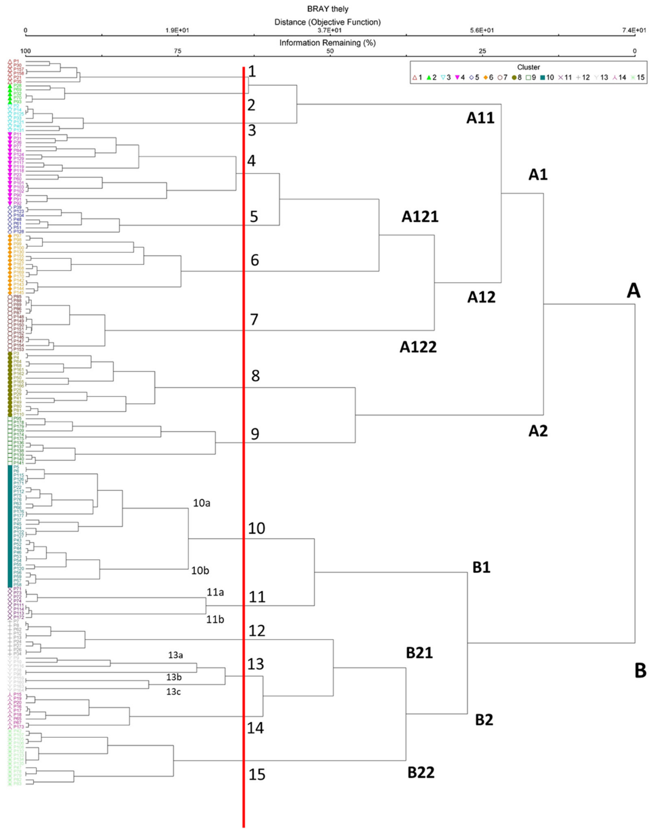 Plants 10 02448 g004 550