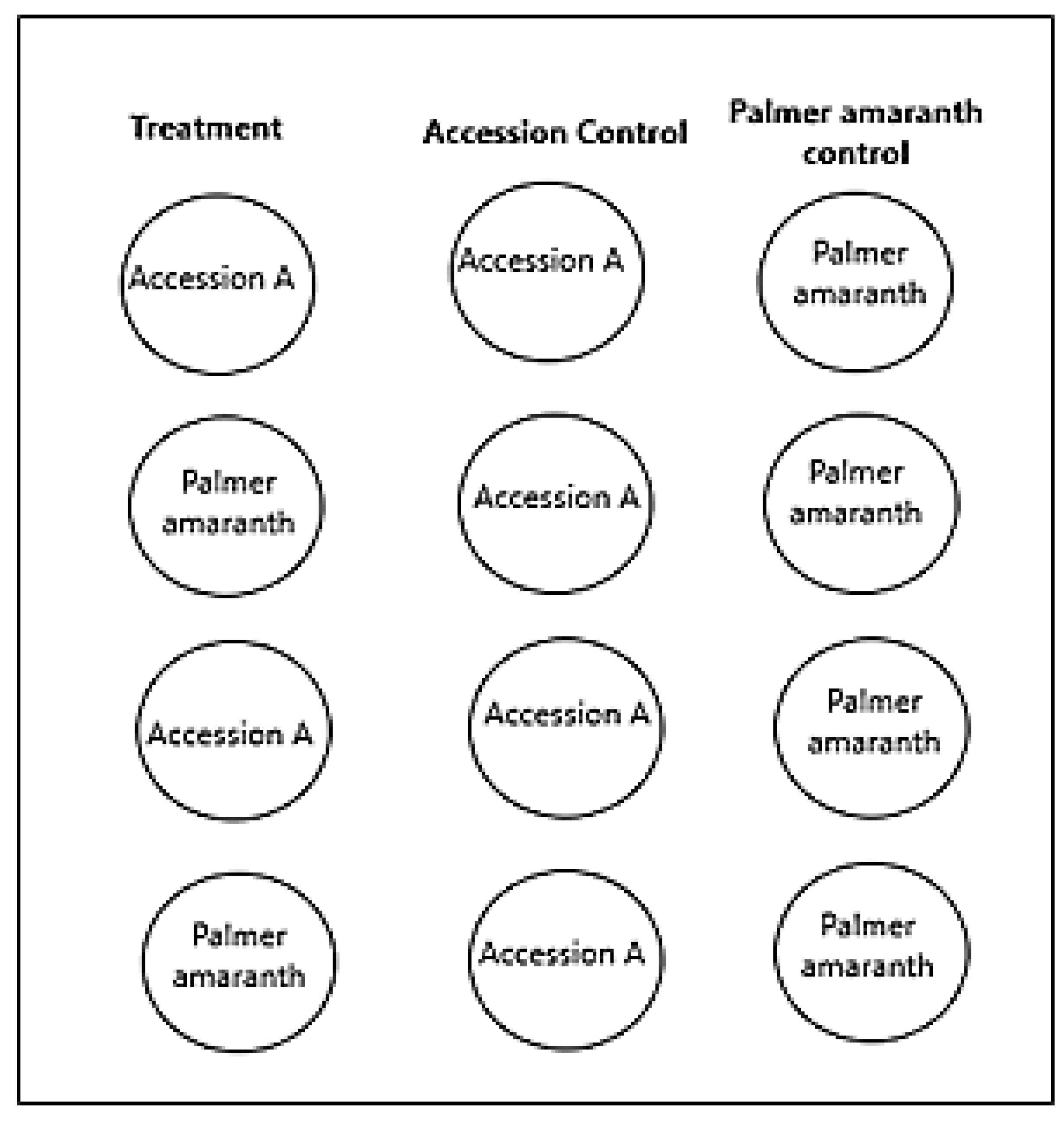 Plants 10 02450 g004 Plants 10 02450 g004